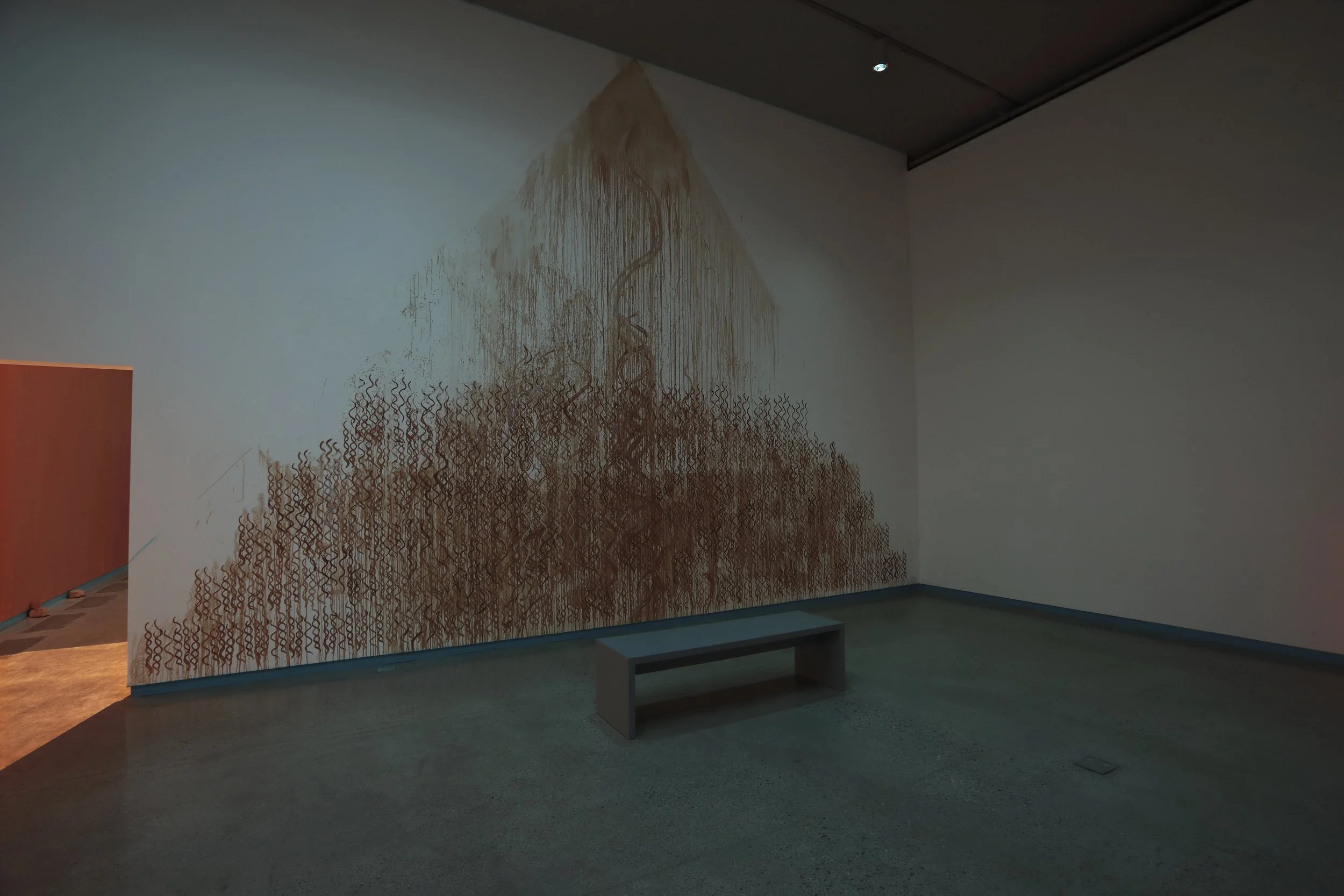 Descendant Perspective: Frank