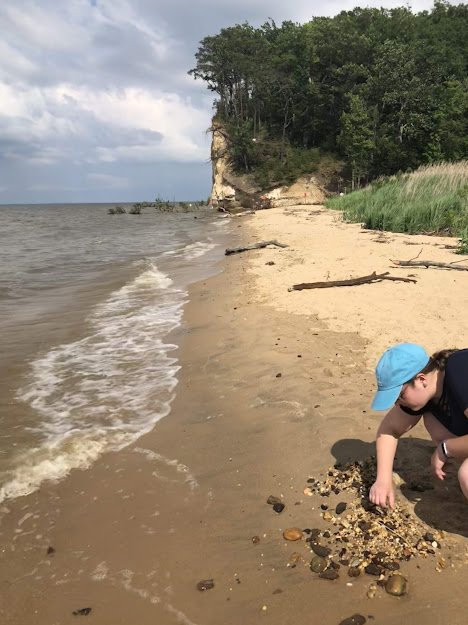 Searching for fossils- no luck this time!