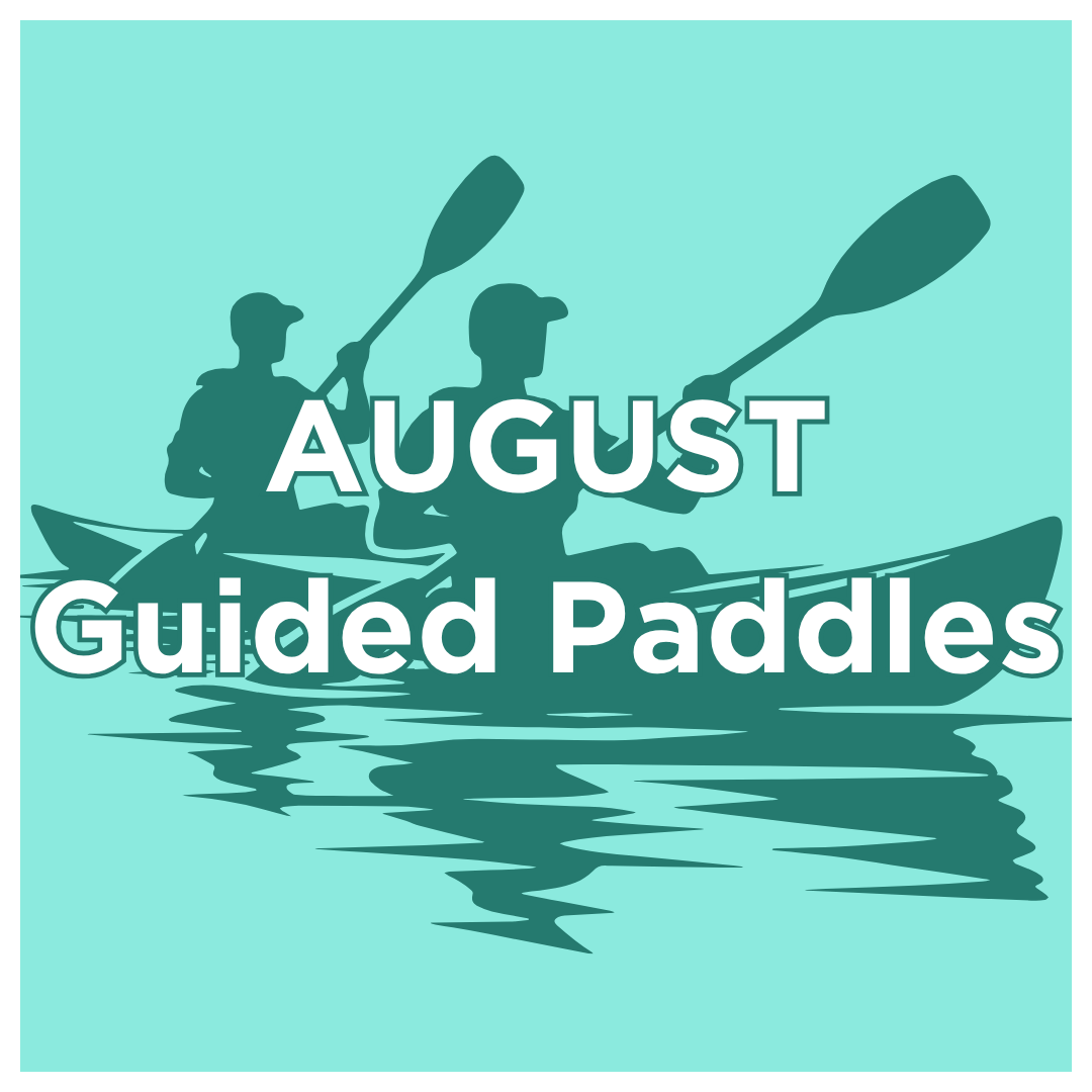 August Guided Paddle
