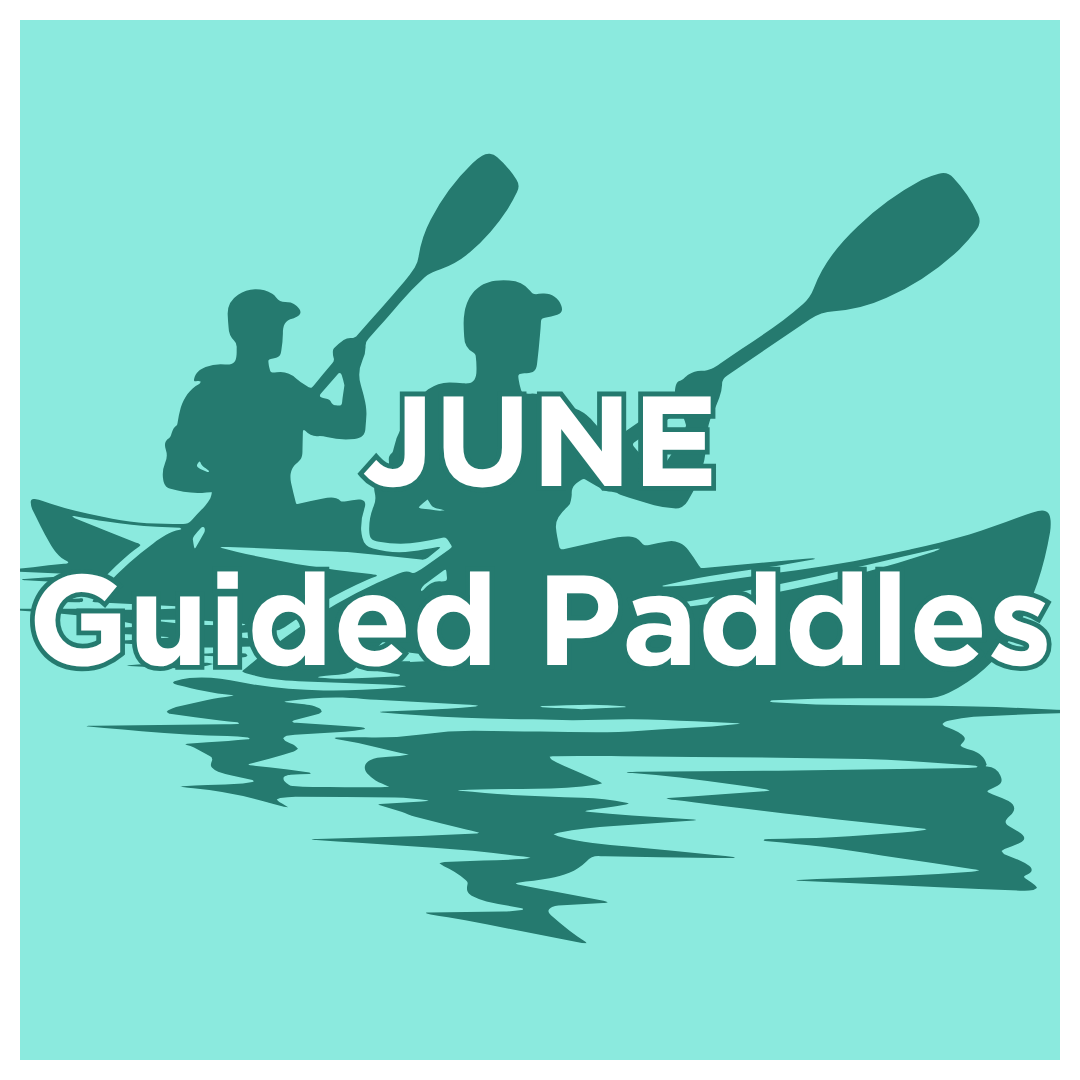 June Guided Paddles