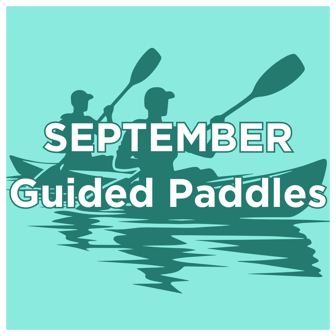 September Guided Paddles