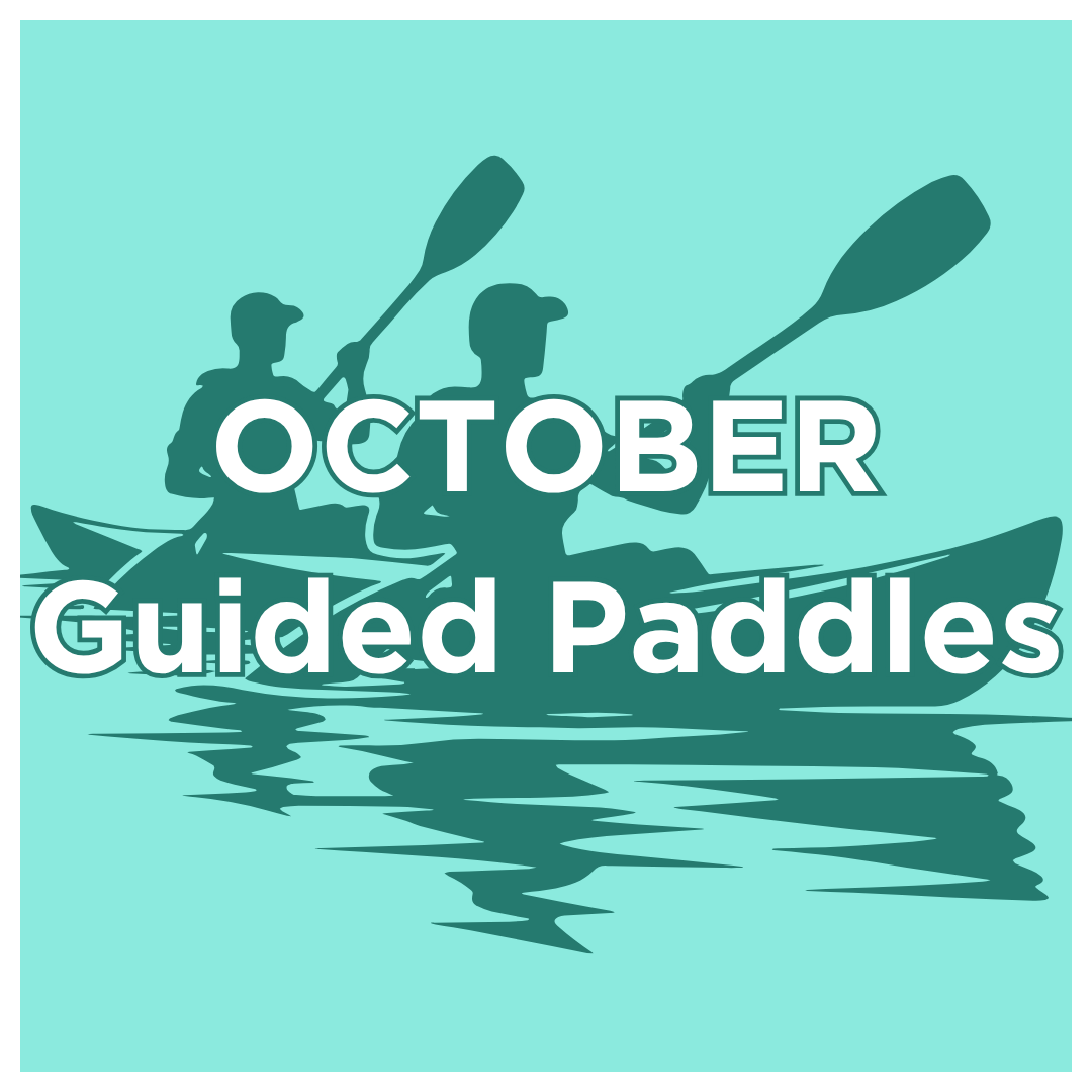 October Guided Paddles