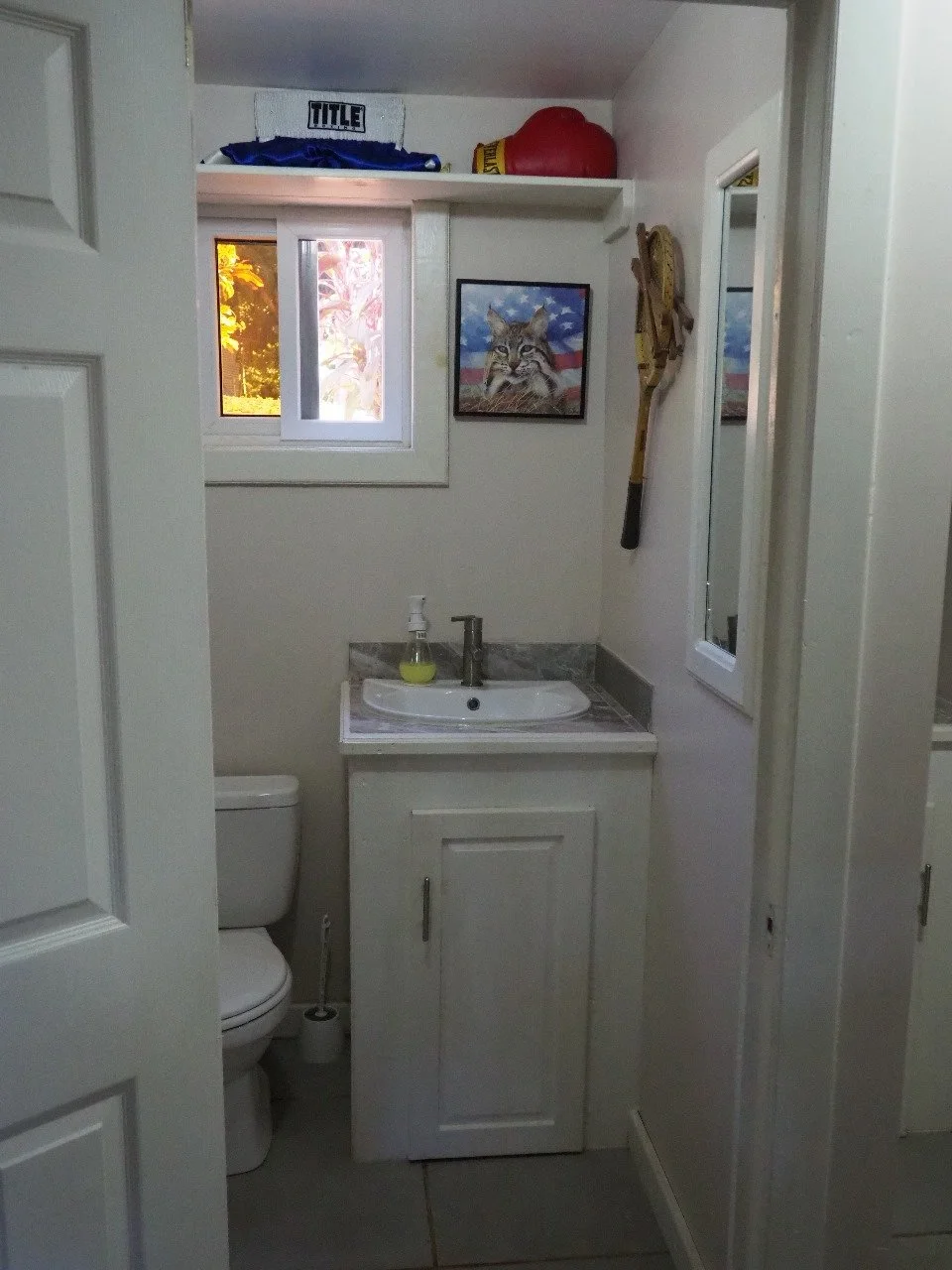 Pink Palace Utila Small bathroom with a white vanity and sink, toilet, window, mirrored cabinet, boxing gloves, and cat artwork.