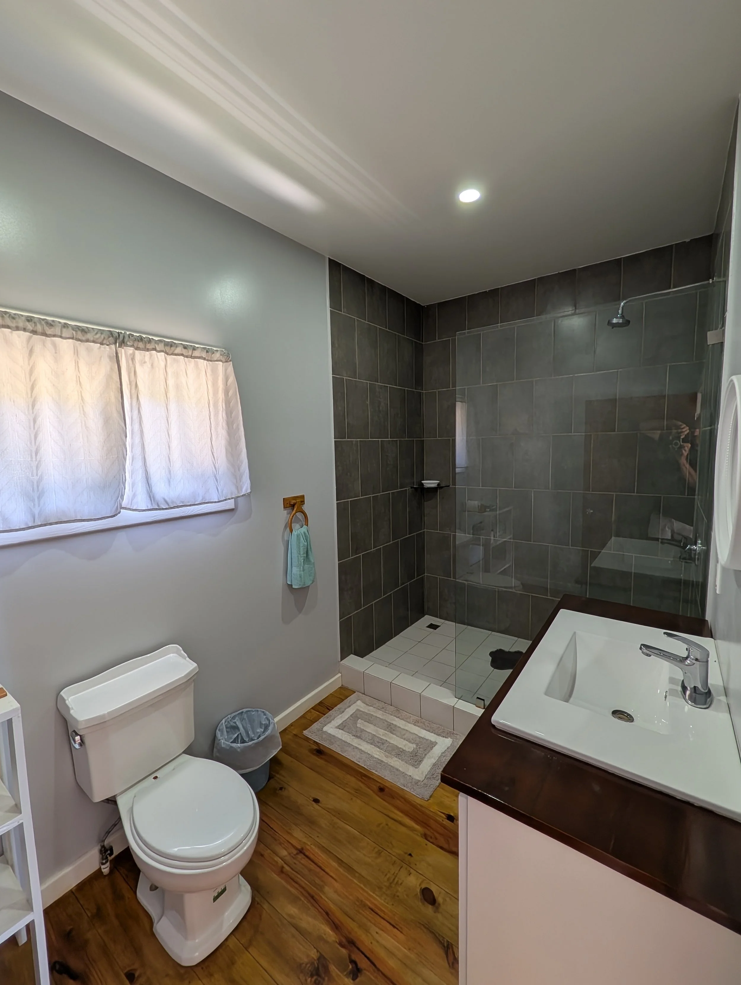 A bathroom featuring a toilet, a small trash bin, a white wall with a window covered by light-colored curtains, a shower area with dark tiles, a white shower drain, a sink with a dark wooden cabinet, and a mirror taking a photograph. There is also a small striped rug on wooden flooring.
