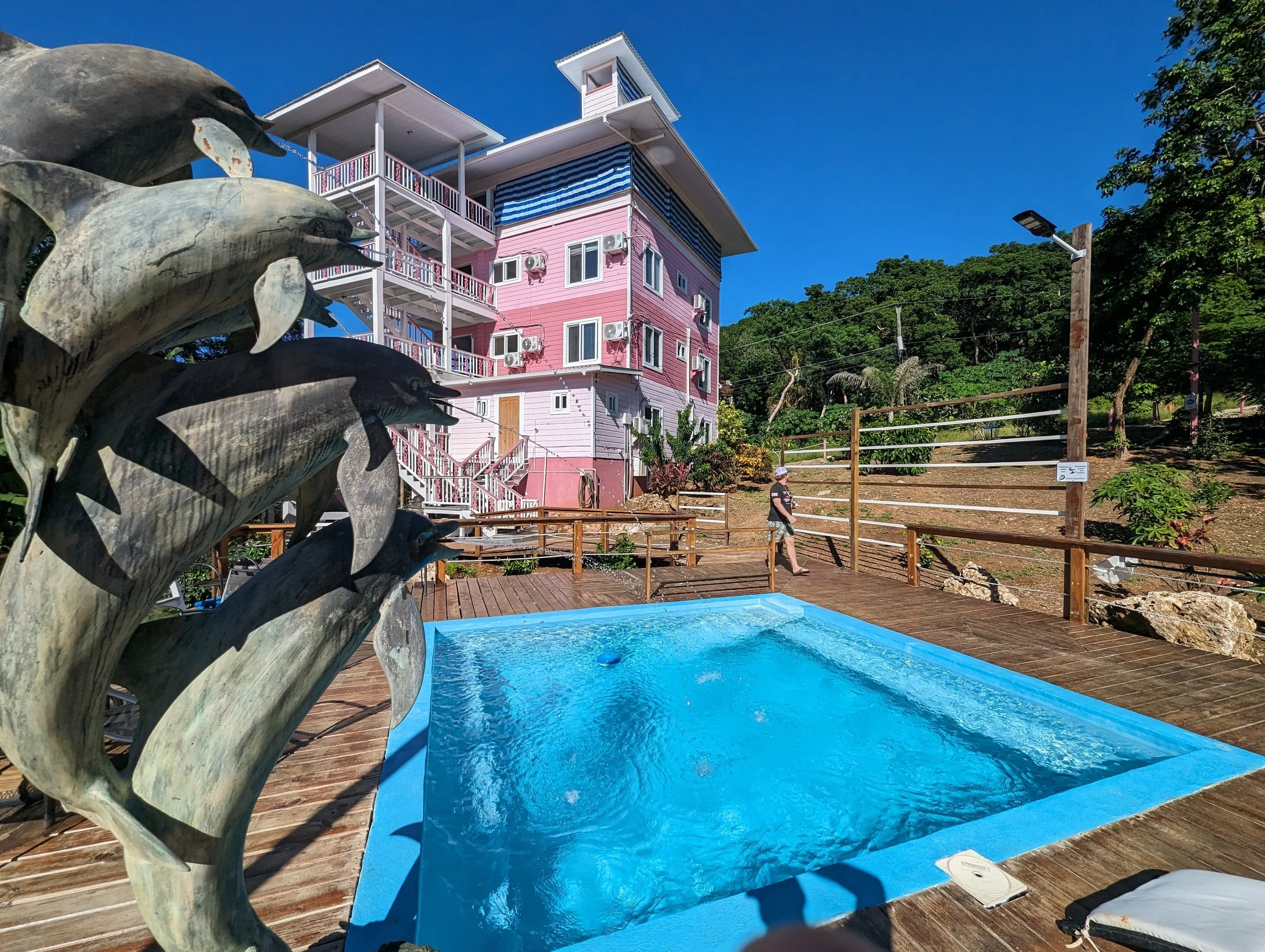 View of a swimming pool with a decorative dolphin sculpture in the foreground, a pink multi-story building with balconies and air conditioning units, a person walking, and lush green trees under a clear blue sky.
