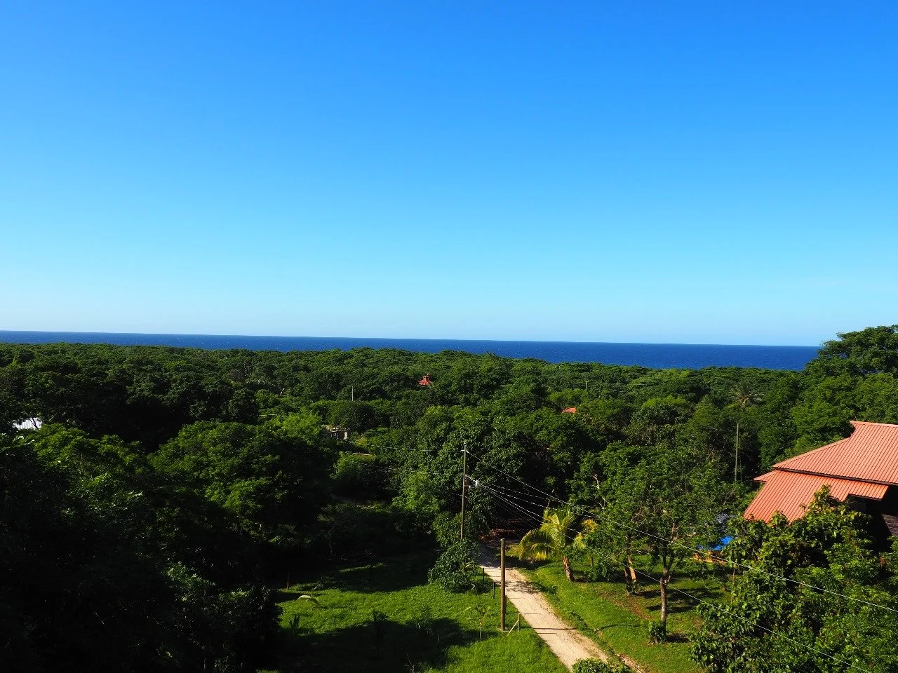 Pink Palace Utila Tropical coastal landscape with lush green forest, ocean horizon, palm trees, and red-roofed homes