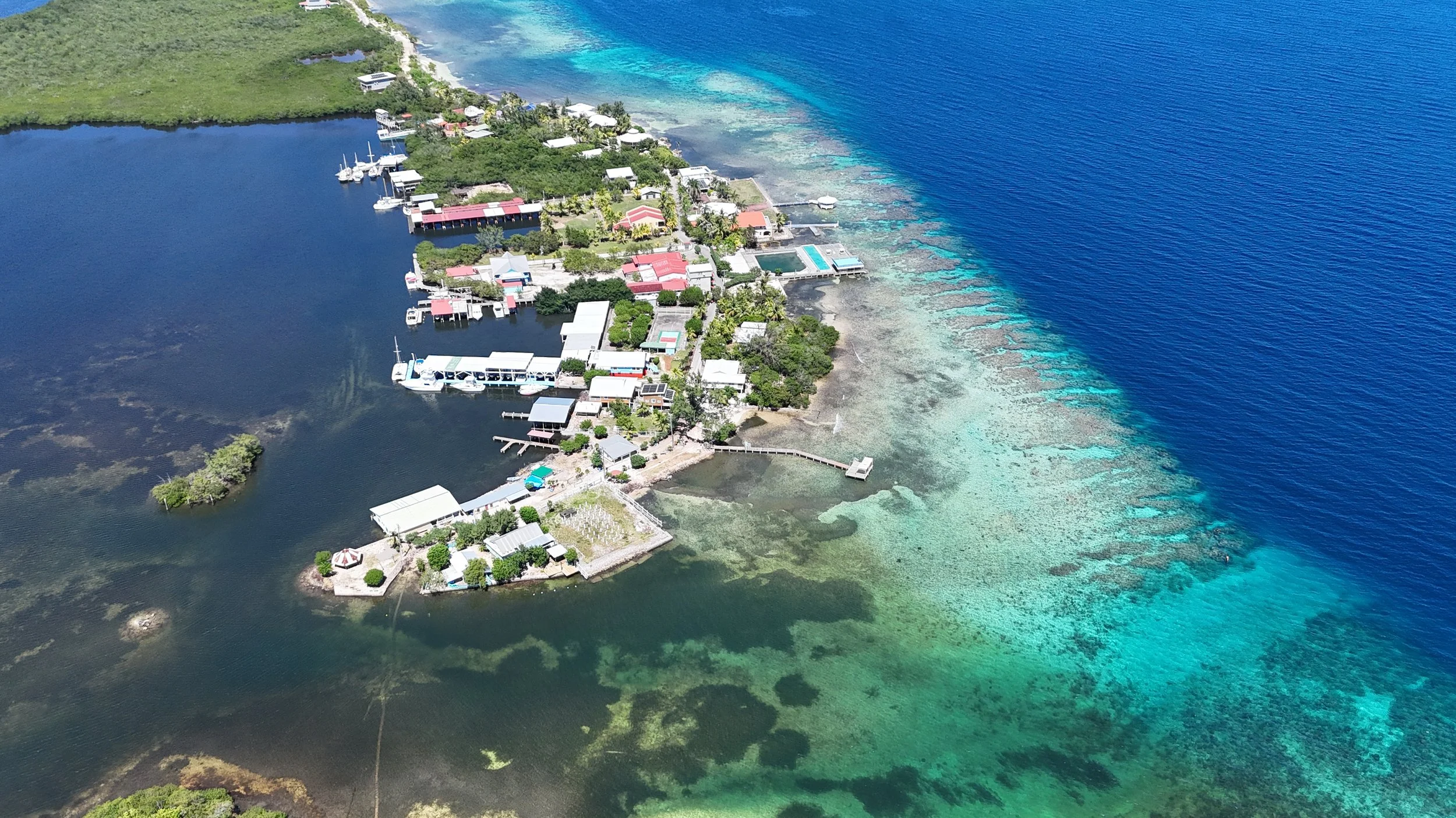 Blue Bayou, Utila. Aerial view of a coastal area showing a small residential community with houses, docks, boats, and swimming pools, surrounded by water with coral reefs visible in turquoise.