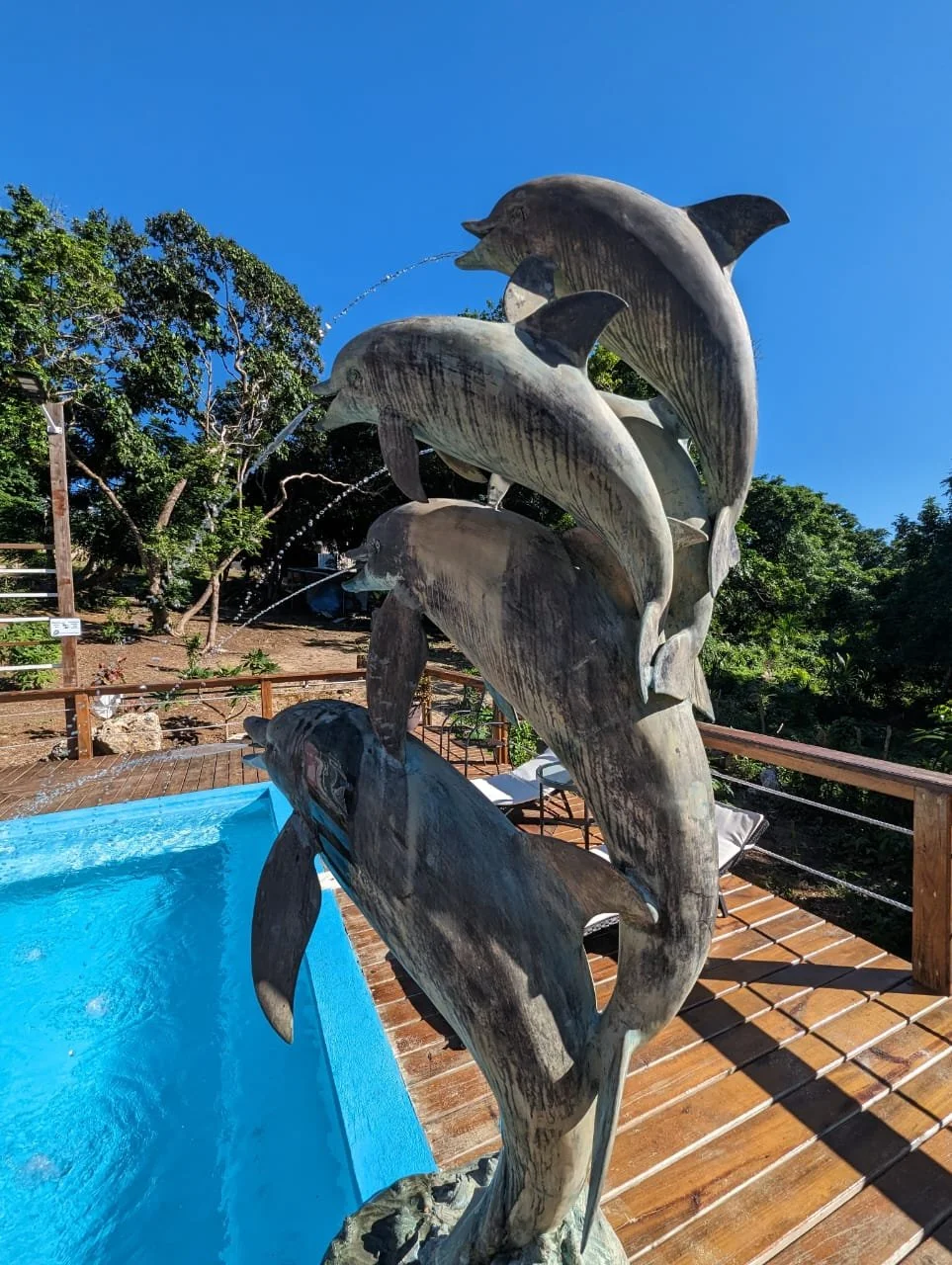 Pink Palace Utila Bronze dolphin sculpture fountain beside a bright blue pool on a wooden deck