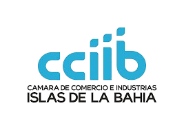 Colorful stylized logo with the text 'sod' and a tagline 'YOUR DATA INSIGHTS LOCKED AND UNLOCKED' underneath.