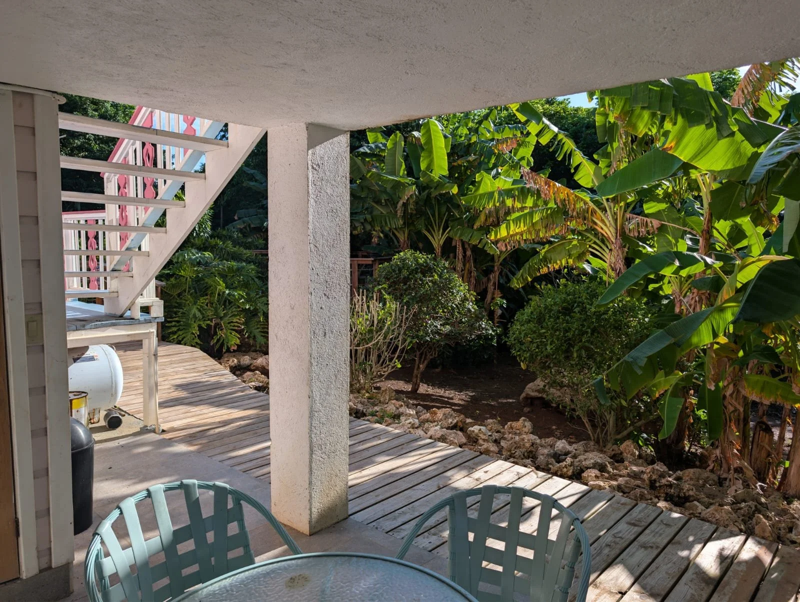 Pink Palace Utila Tropical patio with patio furniture, wooden deck walkway, banana trees, lush greenery, and a pink-and-white building.
