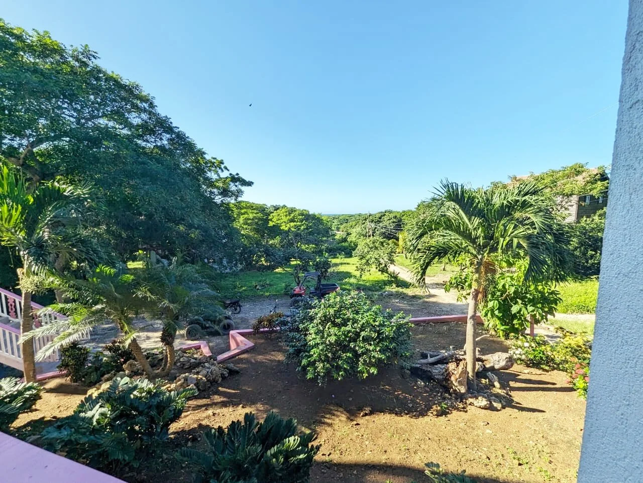 Pink Palace Utila Tropical garden with palm trees, lush vegetation, landscaped flower beds, and a distant ocean view under a clear blue sky