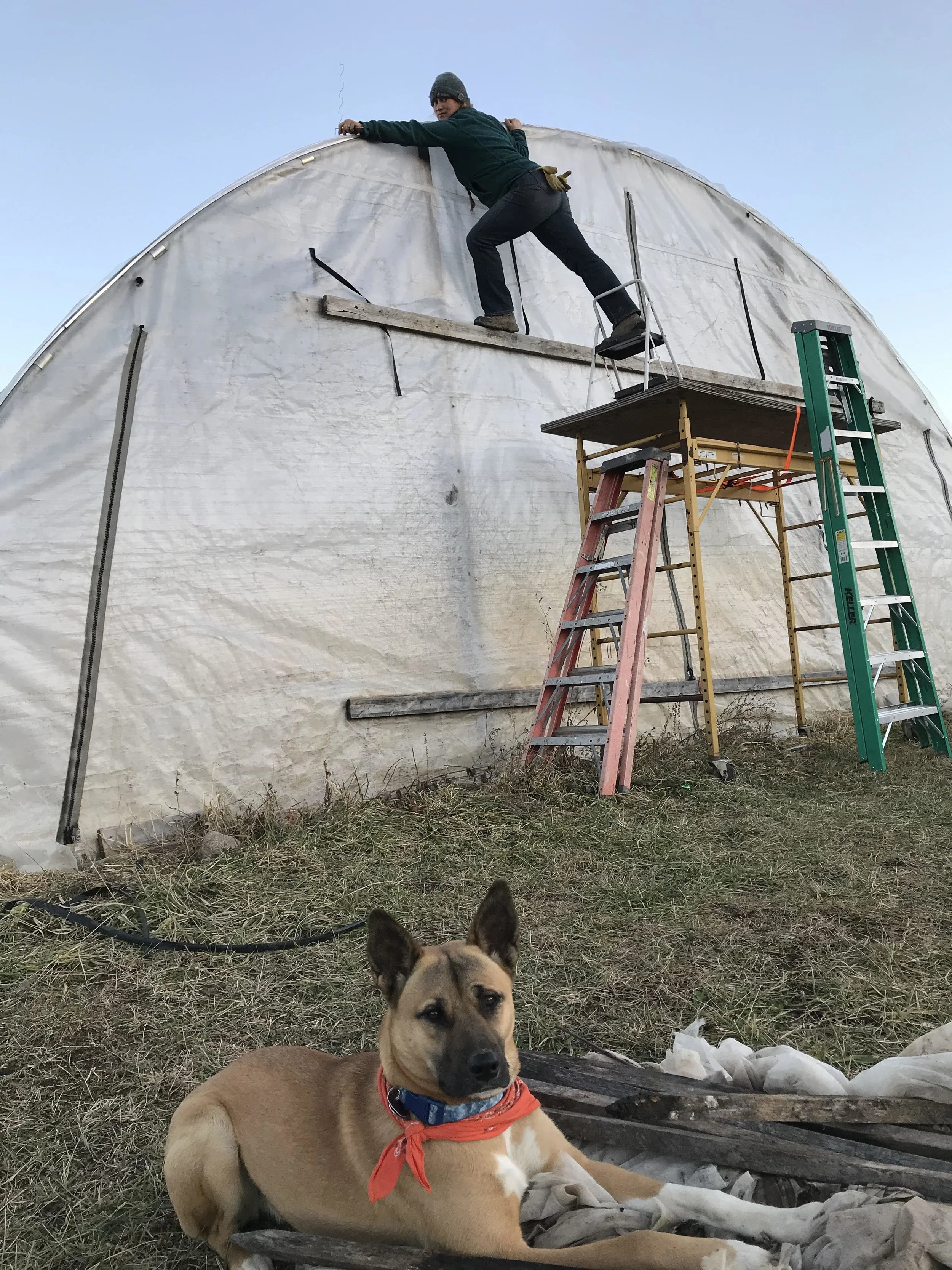 Newsletter: Doin' What We Gotta against the Wind