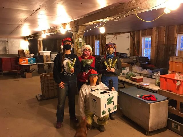 Newsletter: The Elves Are Hard at Work