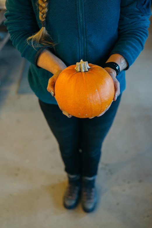 Newsletter: Thankful for Box #3 