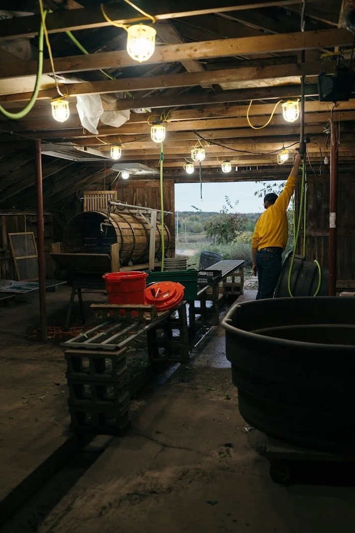 Newsletter: Back in the Greenhouse Groove