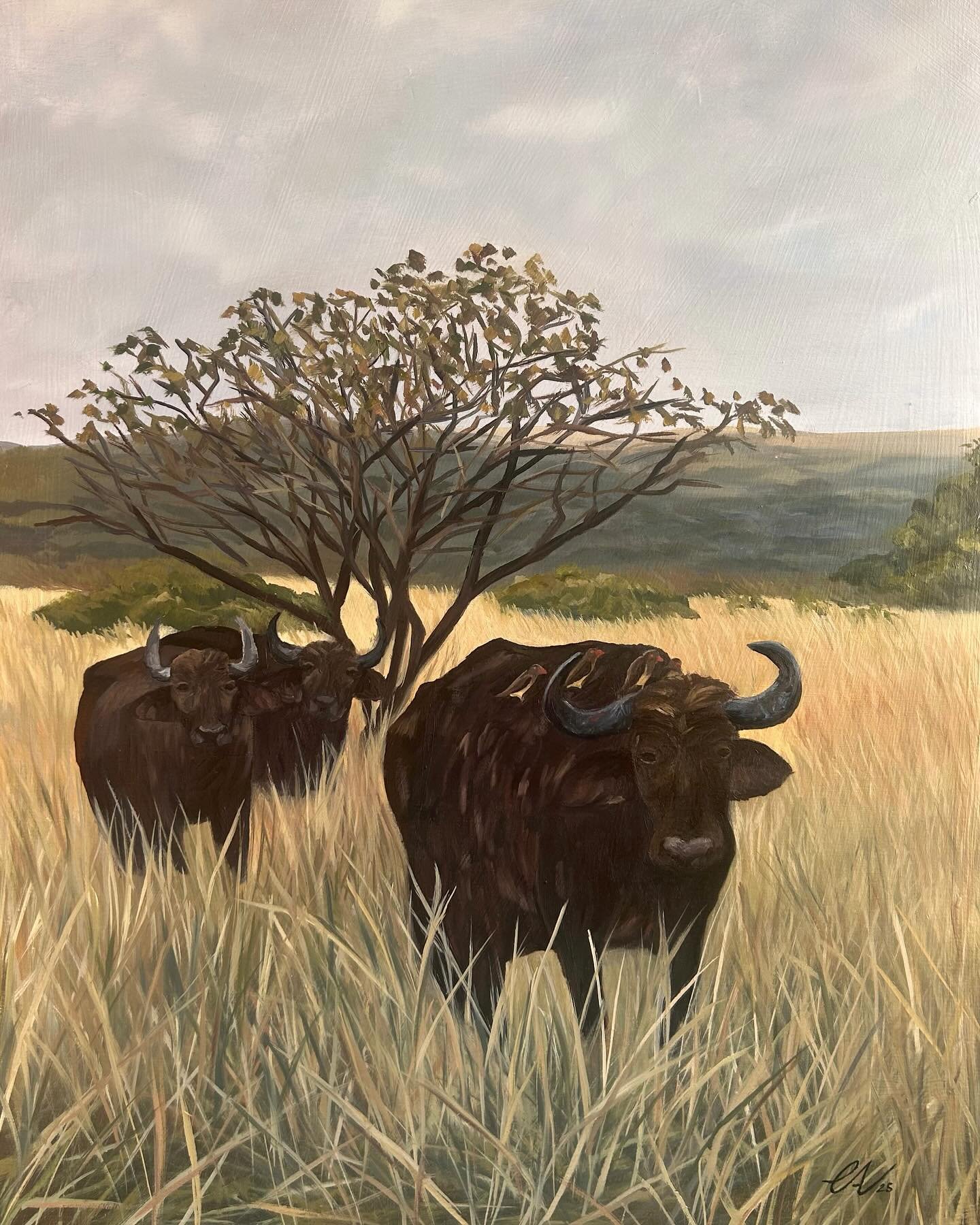Buffalo to complete the big 5 🦬

I was debating whether to include these guys in the series as they are arguably not the most photogenic&hellip;but with some persuasion here they are ☺️🌾☁️ 

The issue now is I have 13 paintings, which doesn&rsquo;t