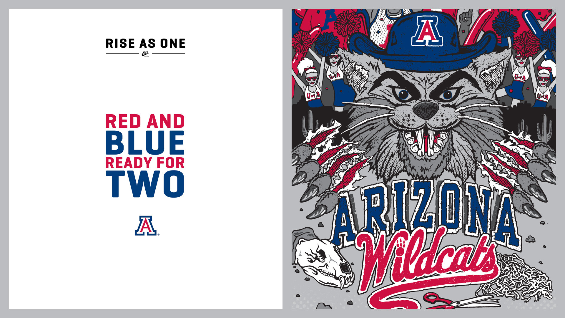 ArizonaWildcats_o.jpg