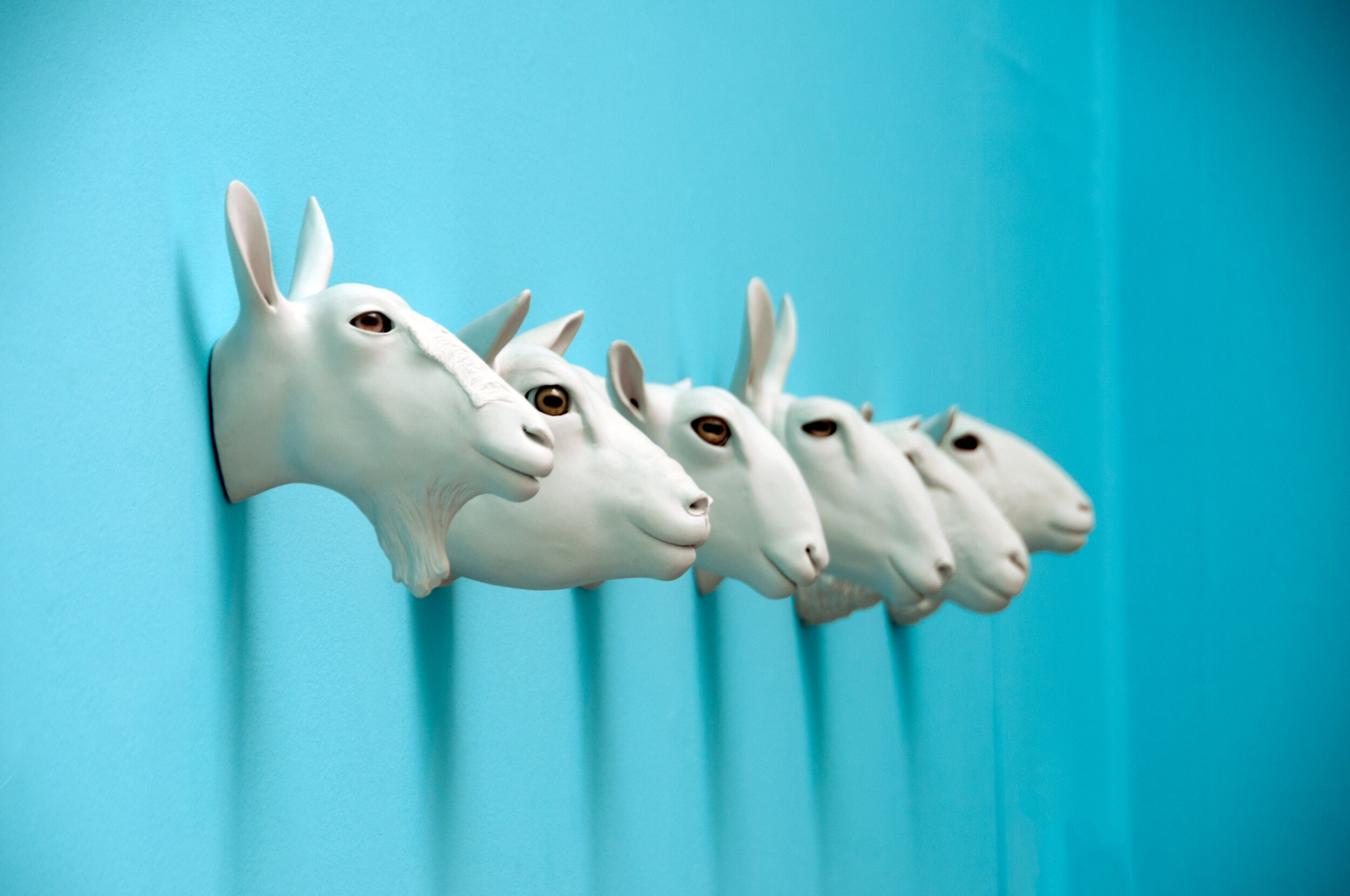 royal society 2015.jpg