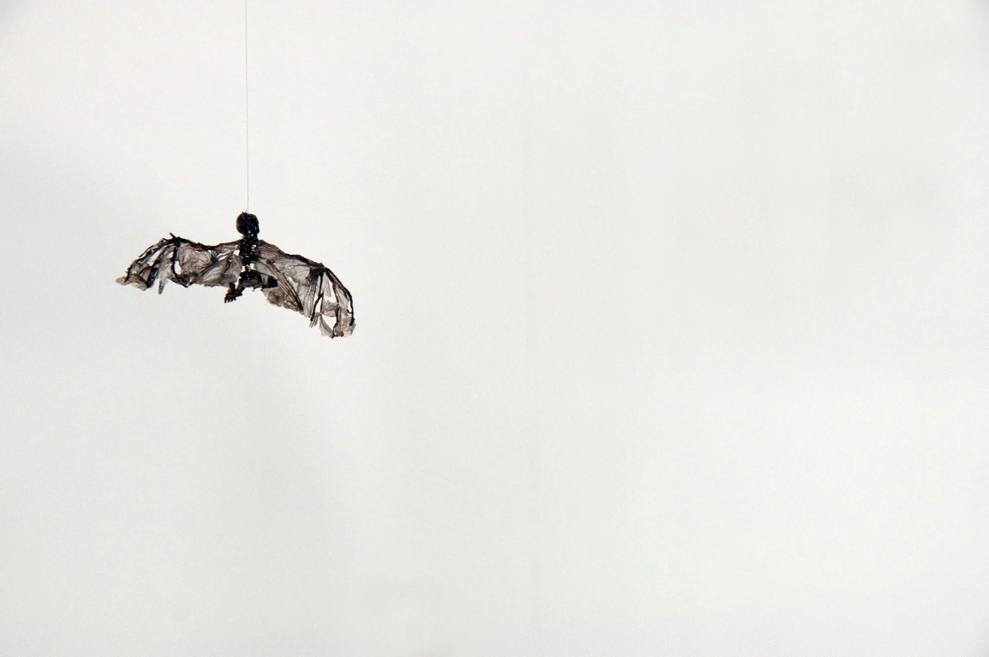 saatchi fly 2010.jpg