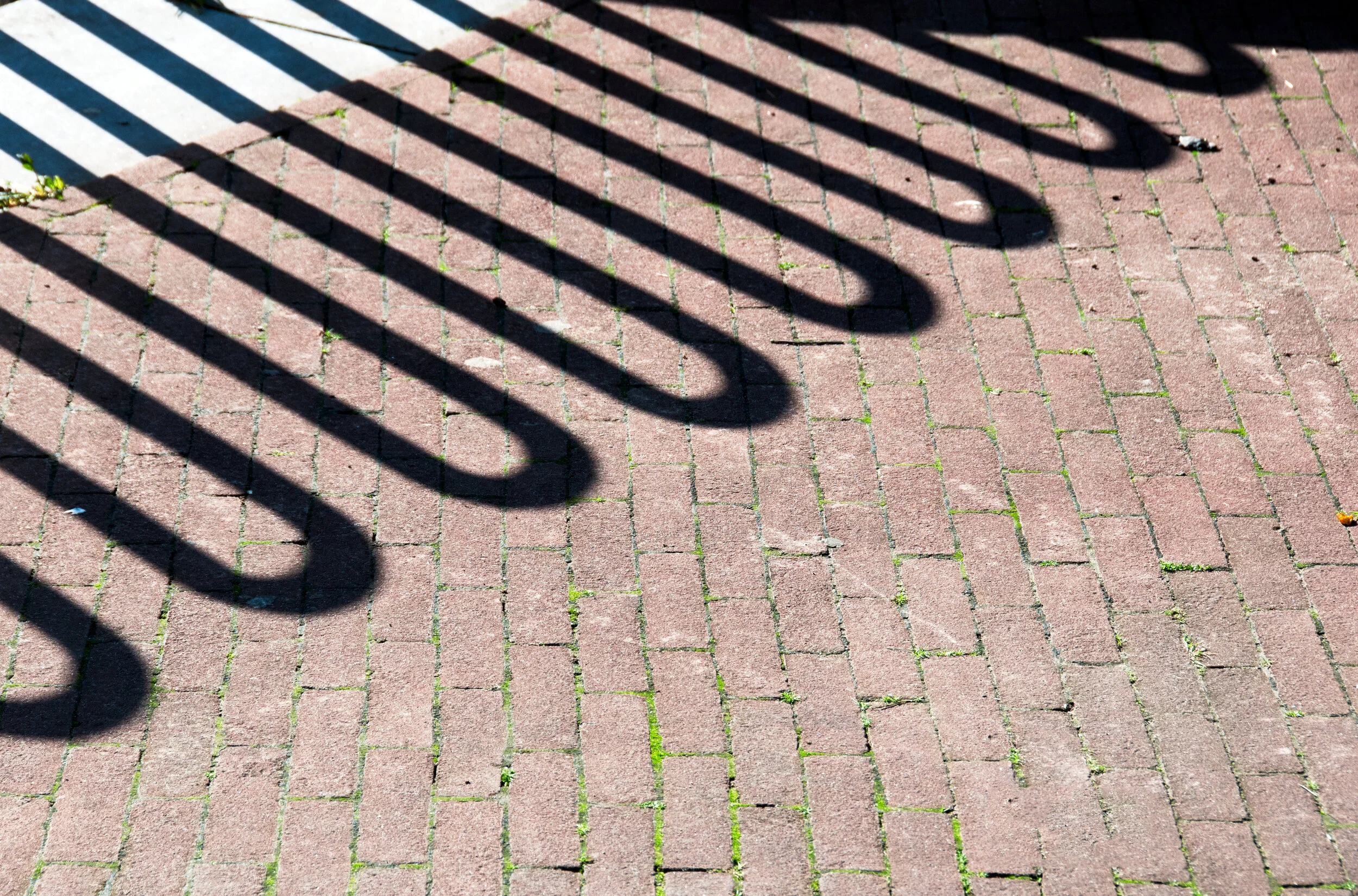 museum plein shadow 2014.jpg