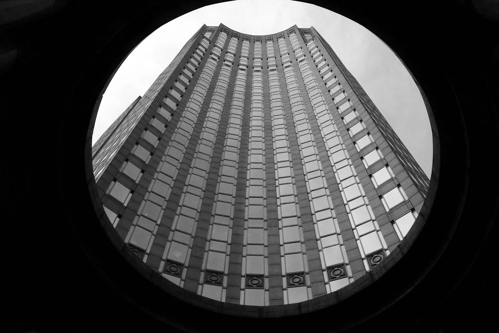 NYC circular 2010.jpg