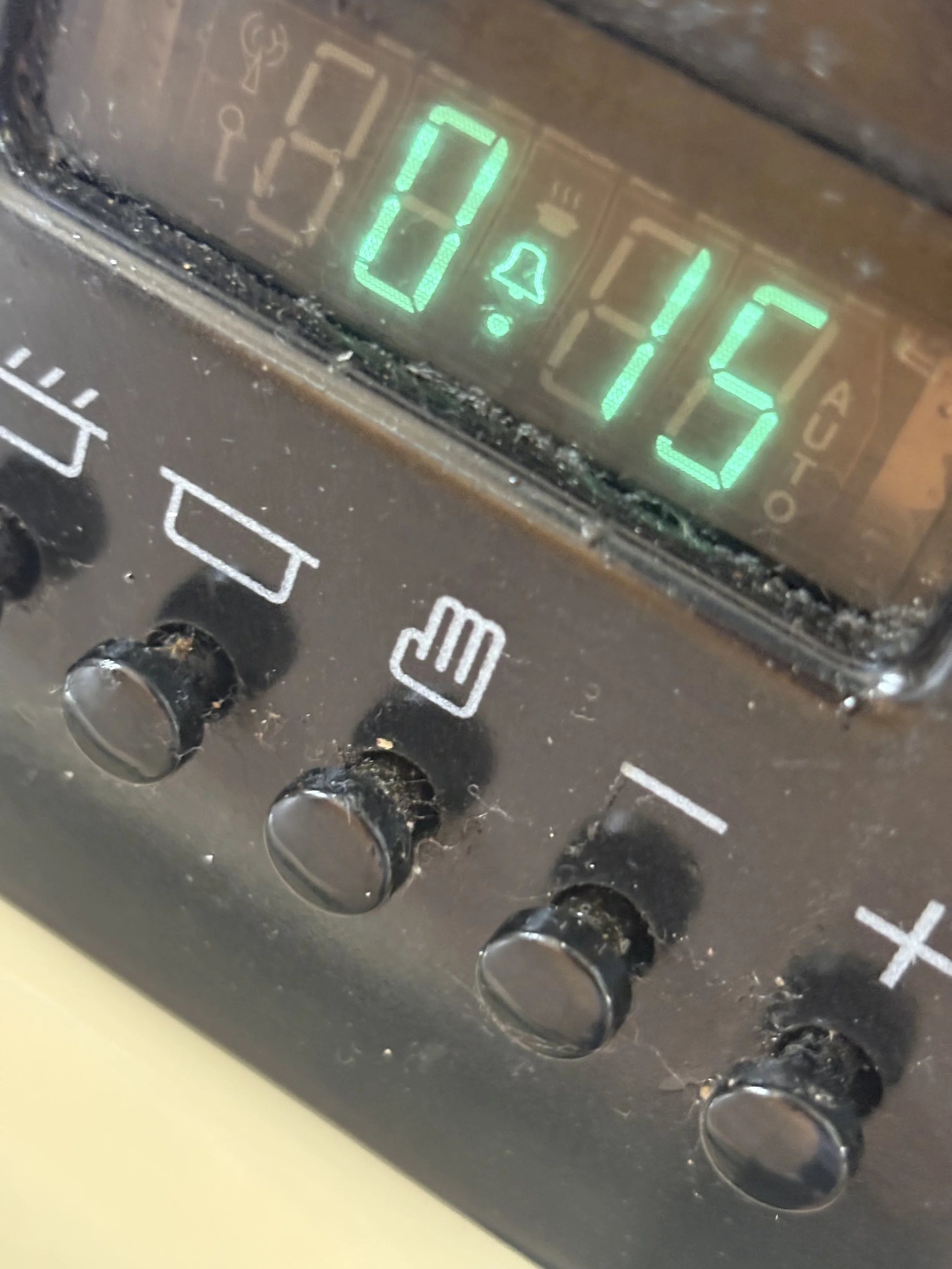 Cook for 15 minutes .jpg