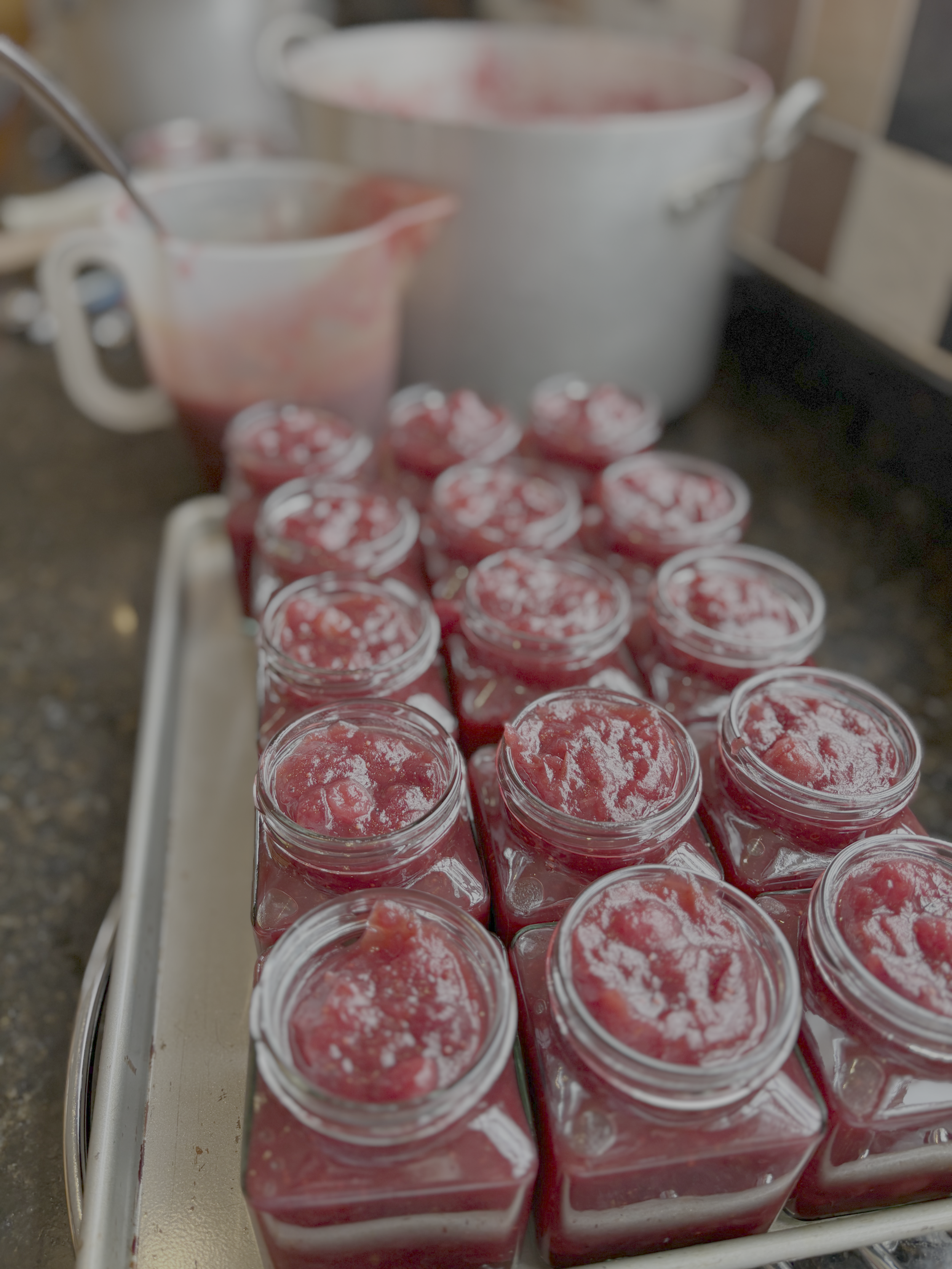 Cranberry Relish - jarred