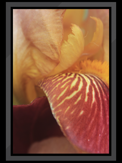 Web-dl-29-N2.png