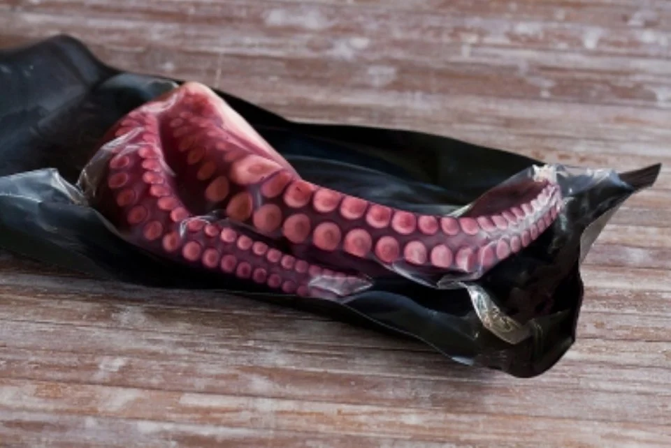Pulpo 2 patas.jpg