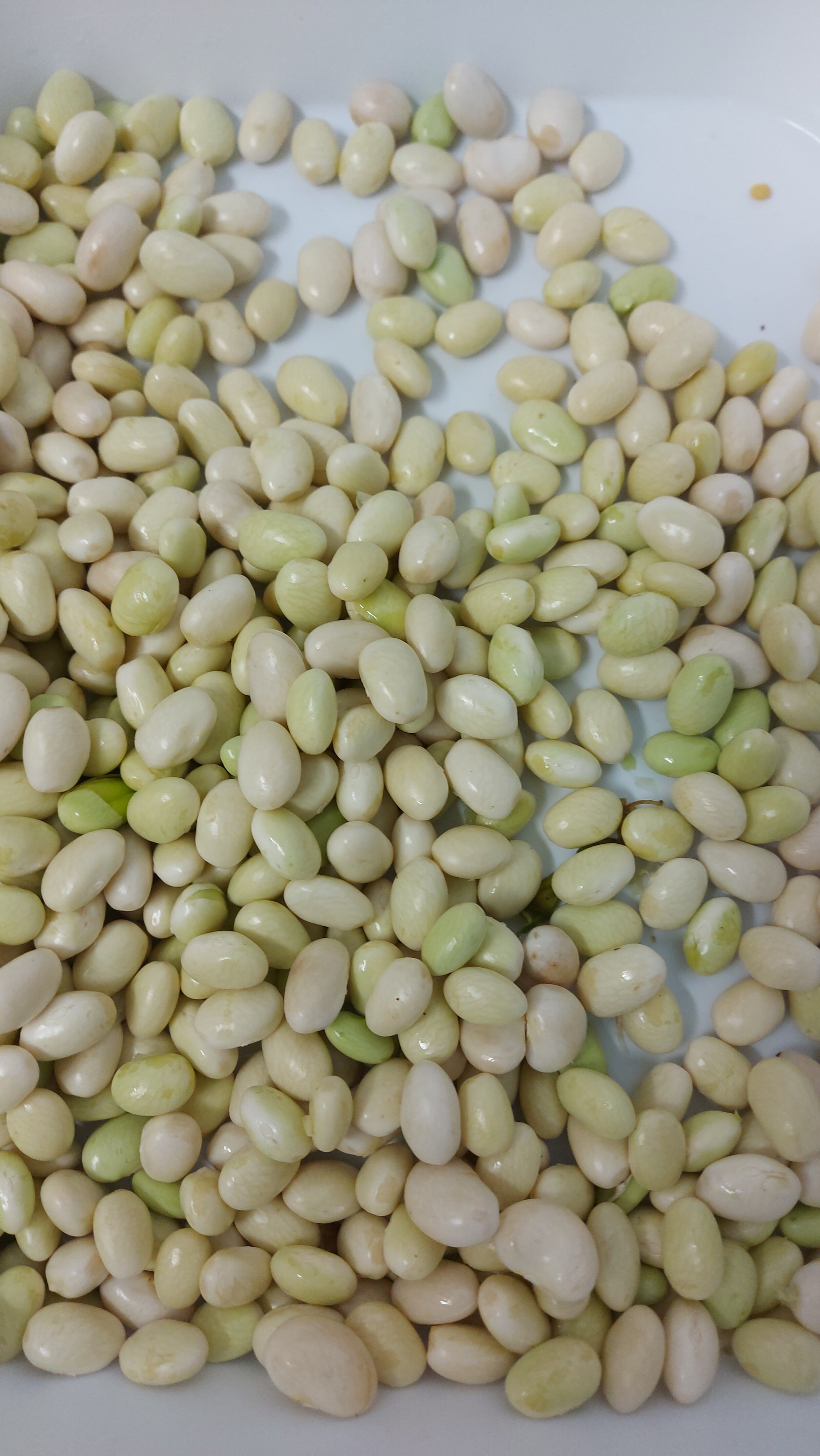 Pocha fresca Aroa.jpg