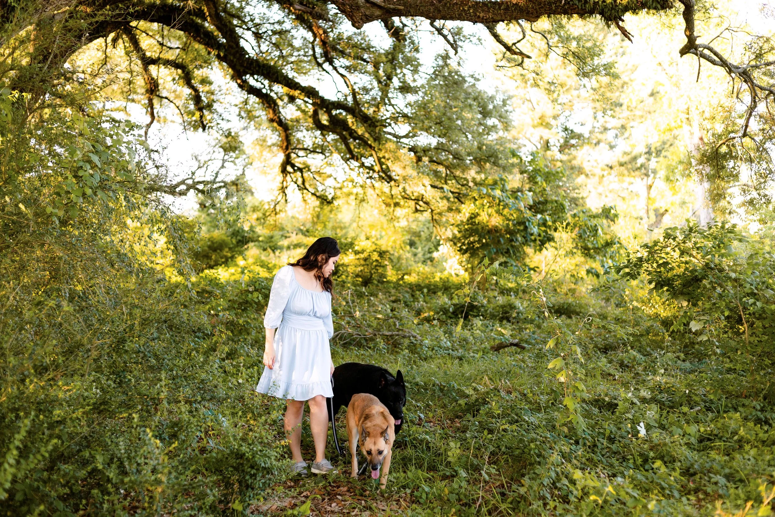 Spring Photos with Your Dog in Houston: What to Expect from a Dog-Centered Session