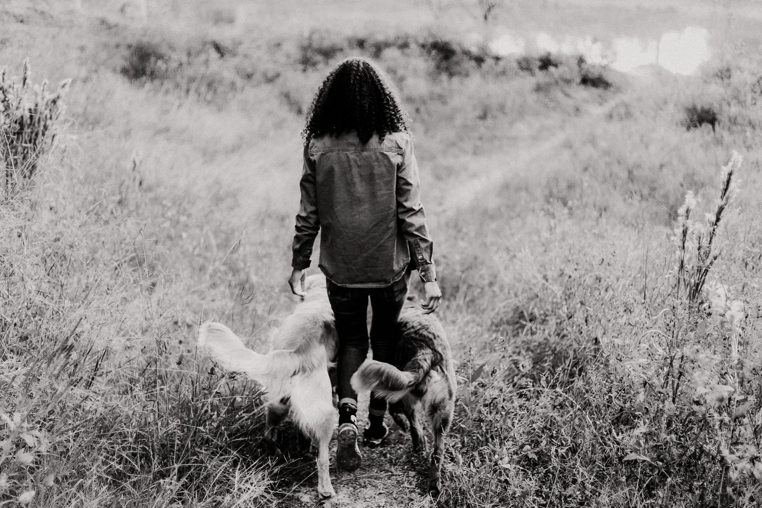 Houston Spring Weather + Dogs: When to Schedule Photos for the Best Experience