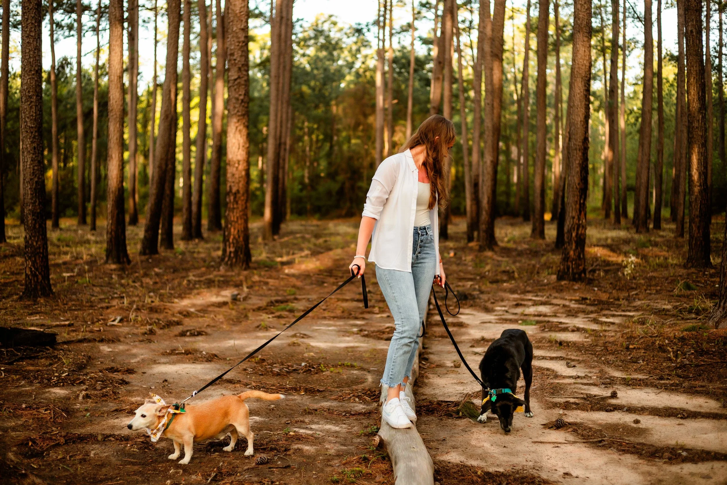 Spring Is for Soft Things: A Slower Approach to Dog Photography in Houston