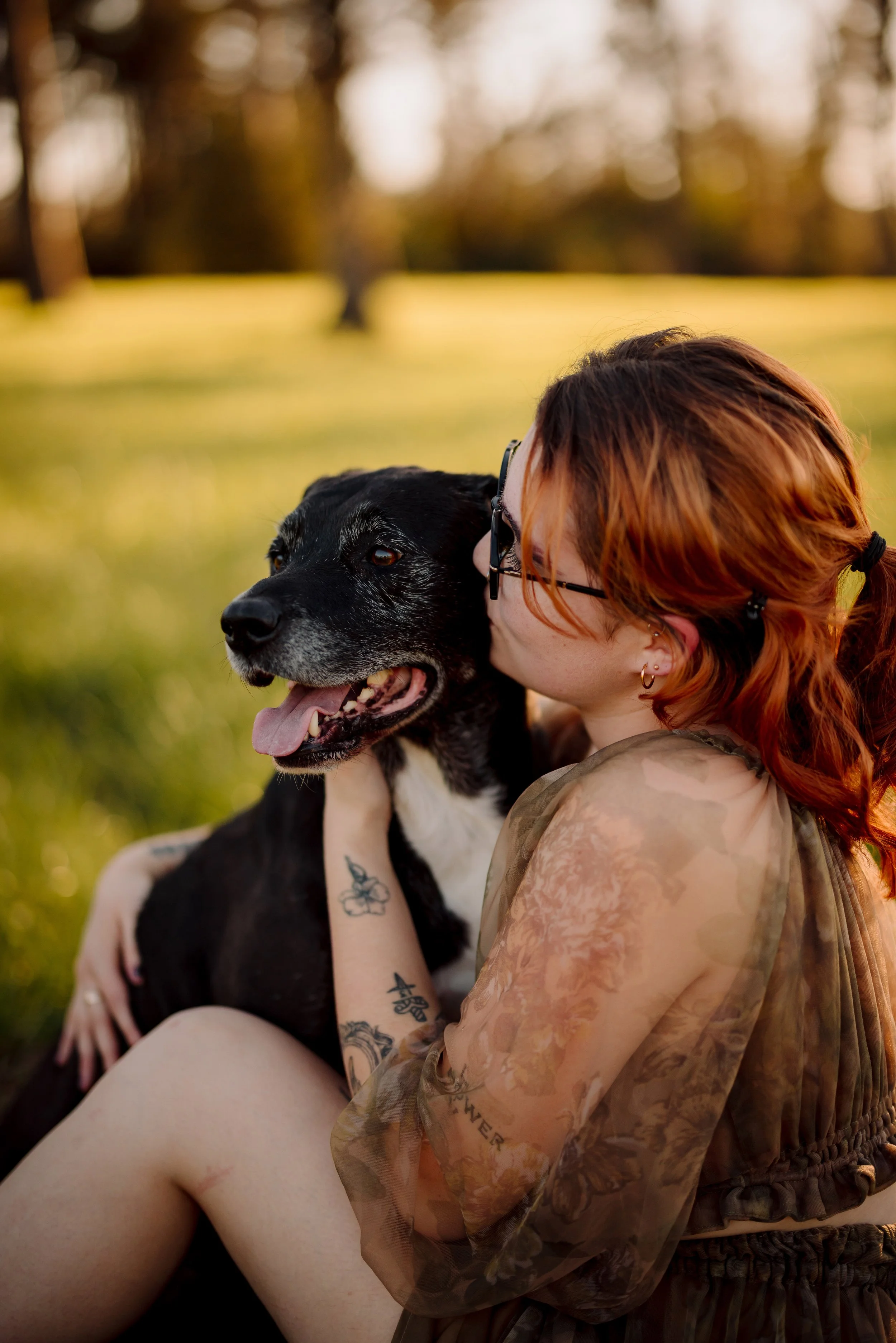 Dog Reactivity and Photoshoots: What You Need to Know