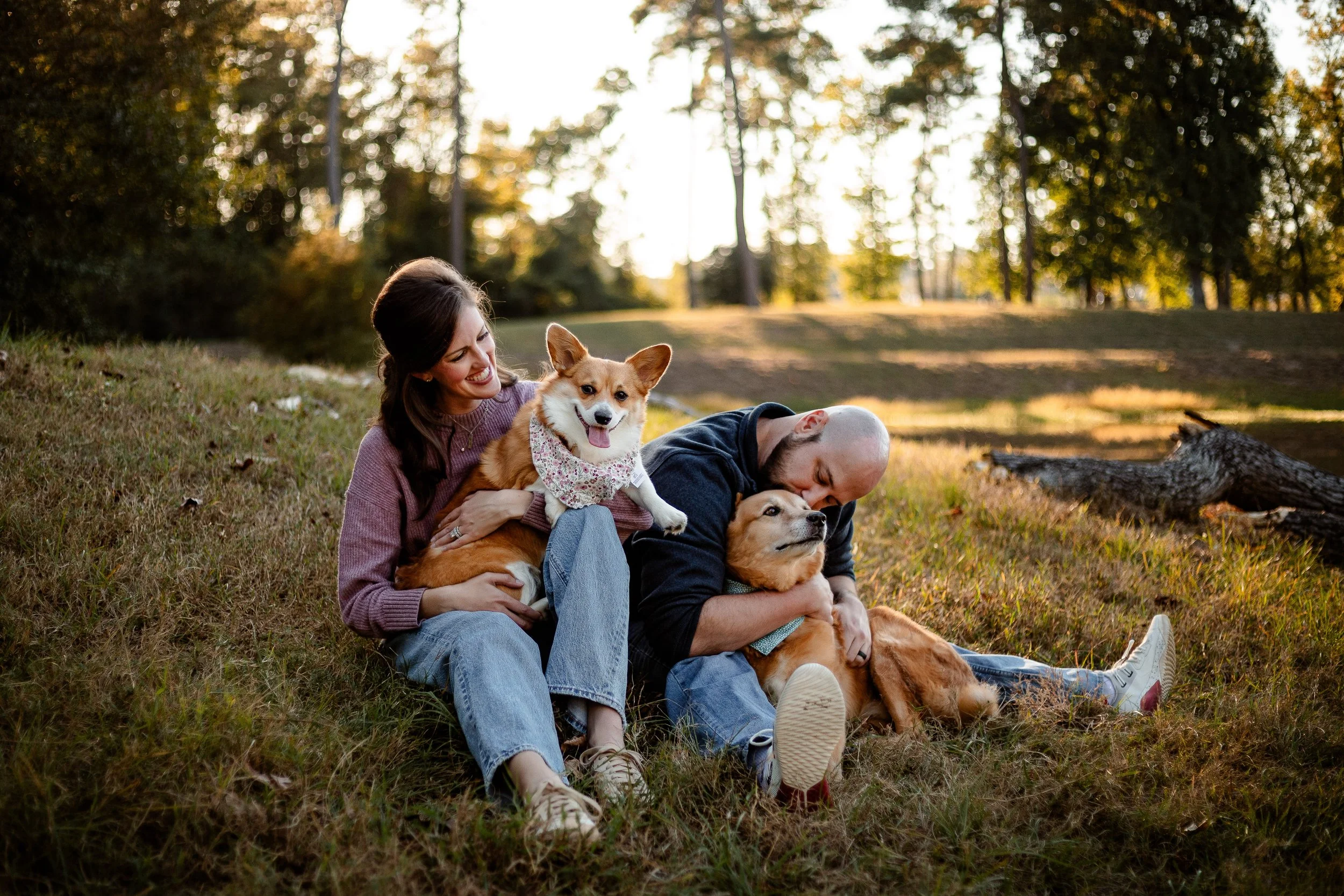Why Senior Dog Photos Matter More Than Ever