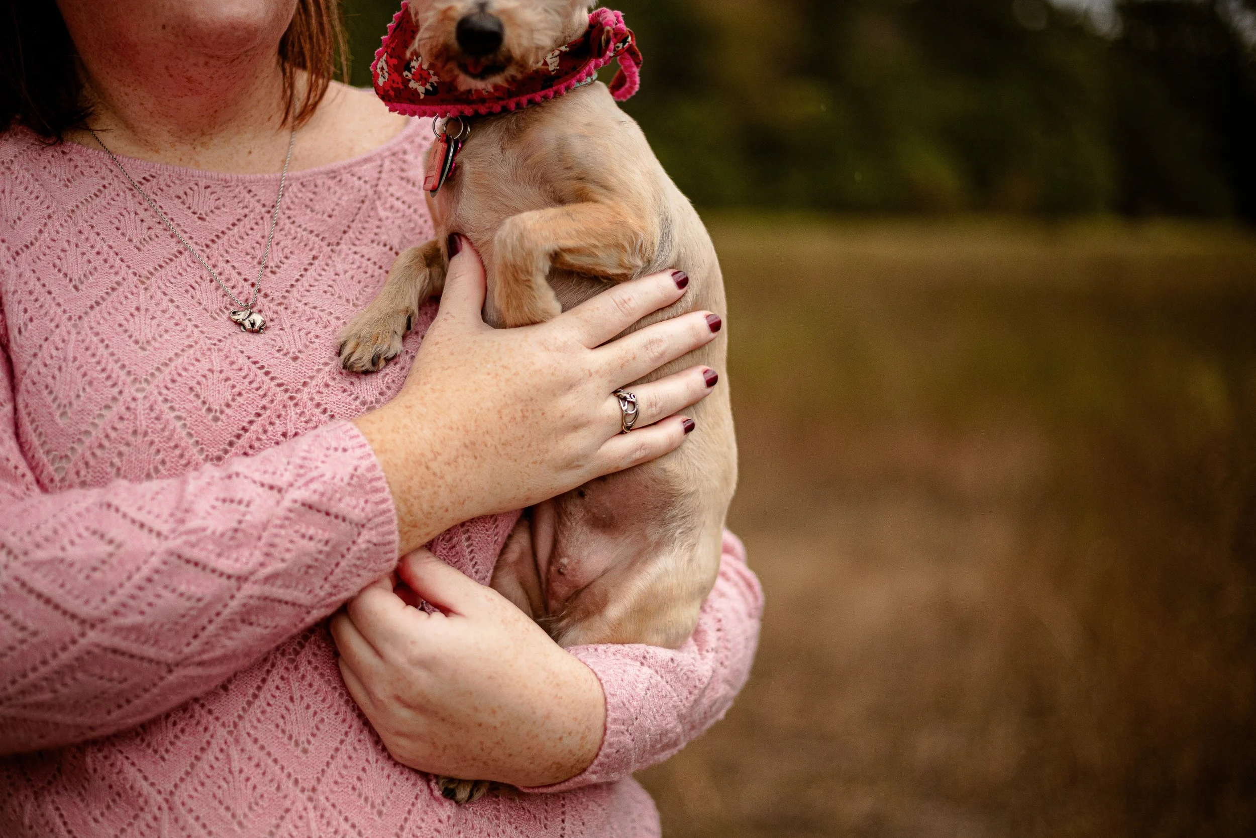 dog-photographer-spring-texas.jpg
