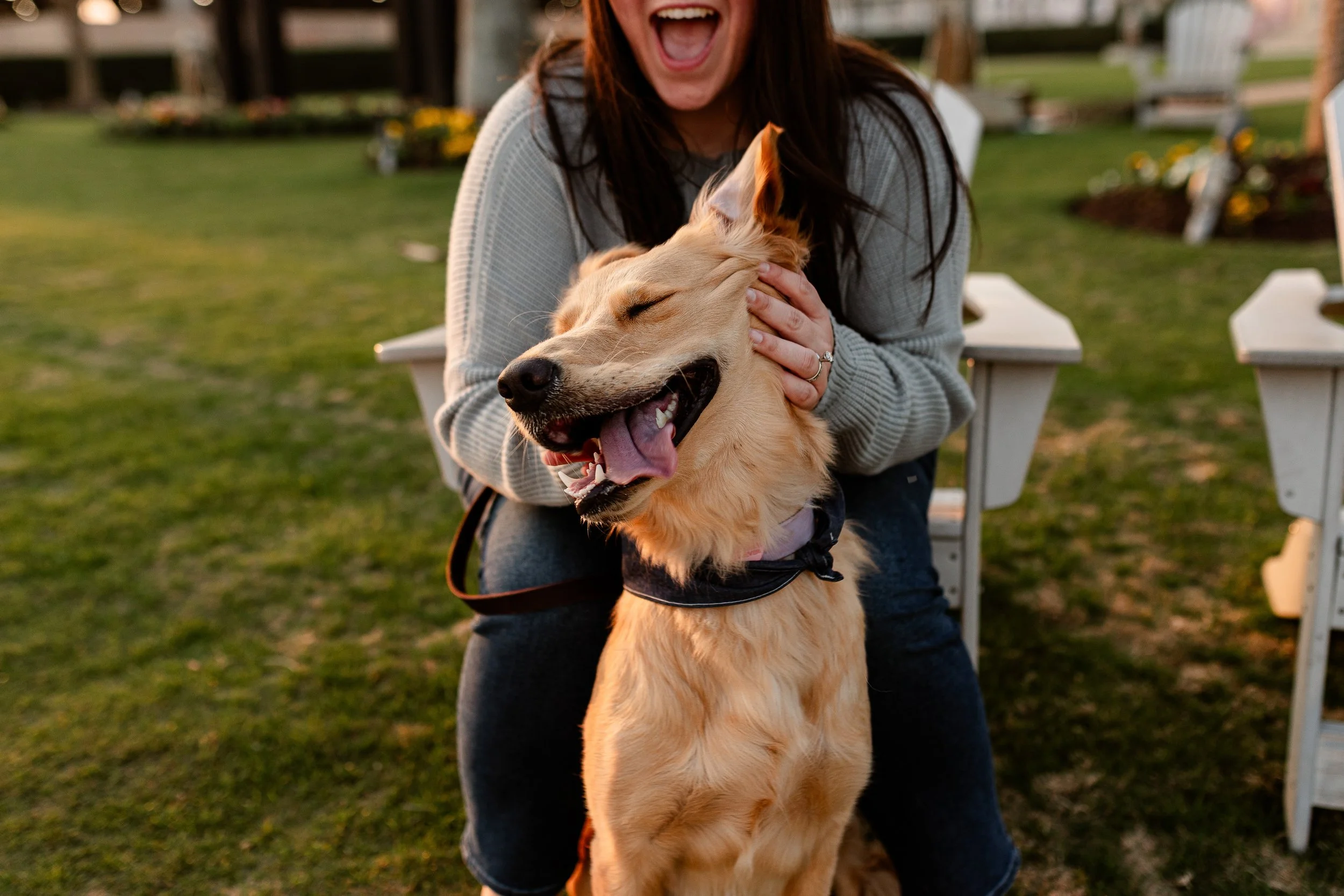 Dog-Photography-Spring-TX.jpg