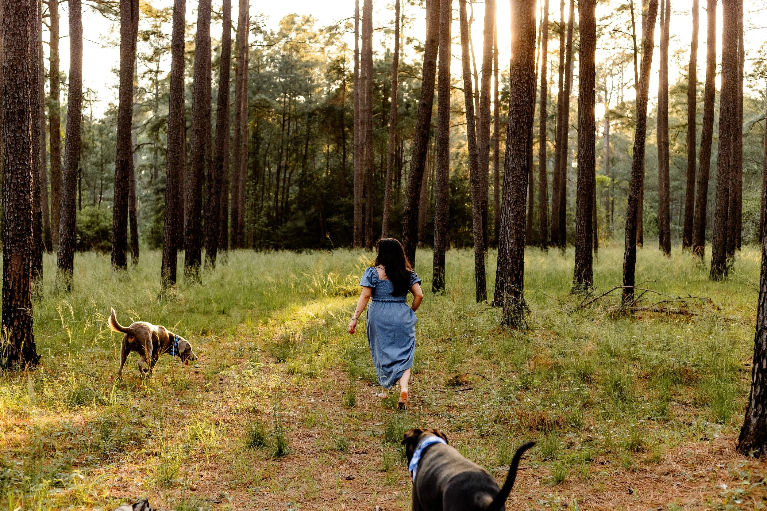 Dog-Photography-Session-Houston.jpg