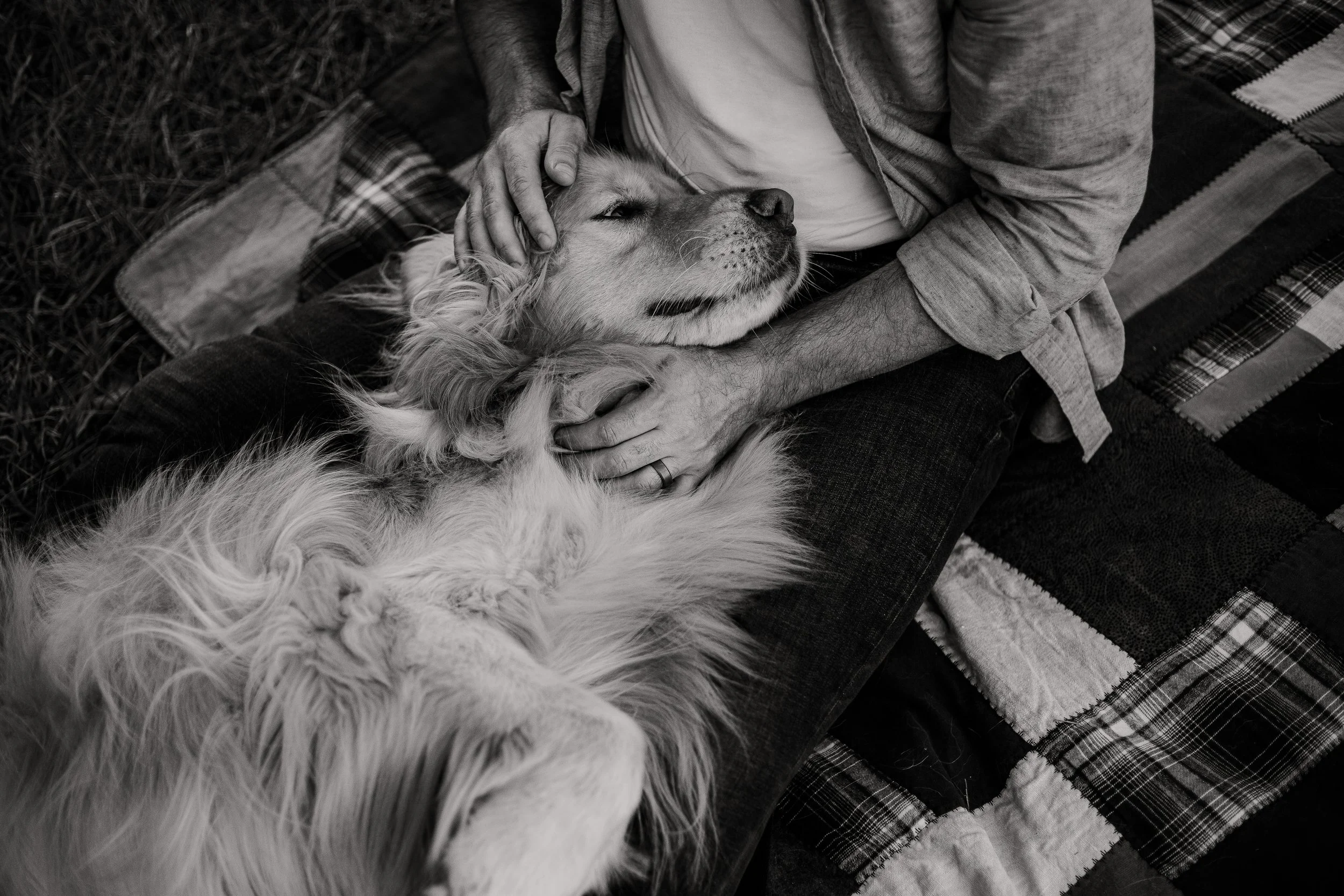 Dog-Photography-The-Woodlands-Texas.jpg