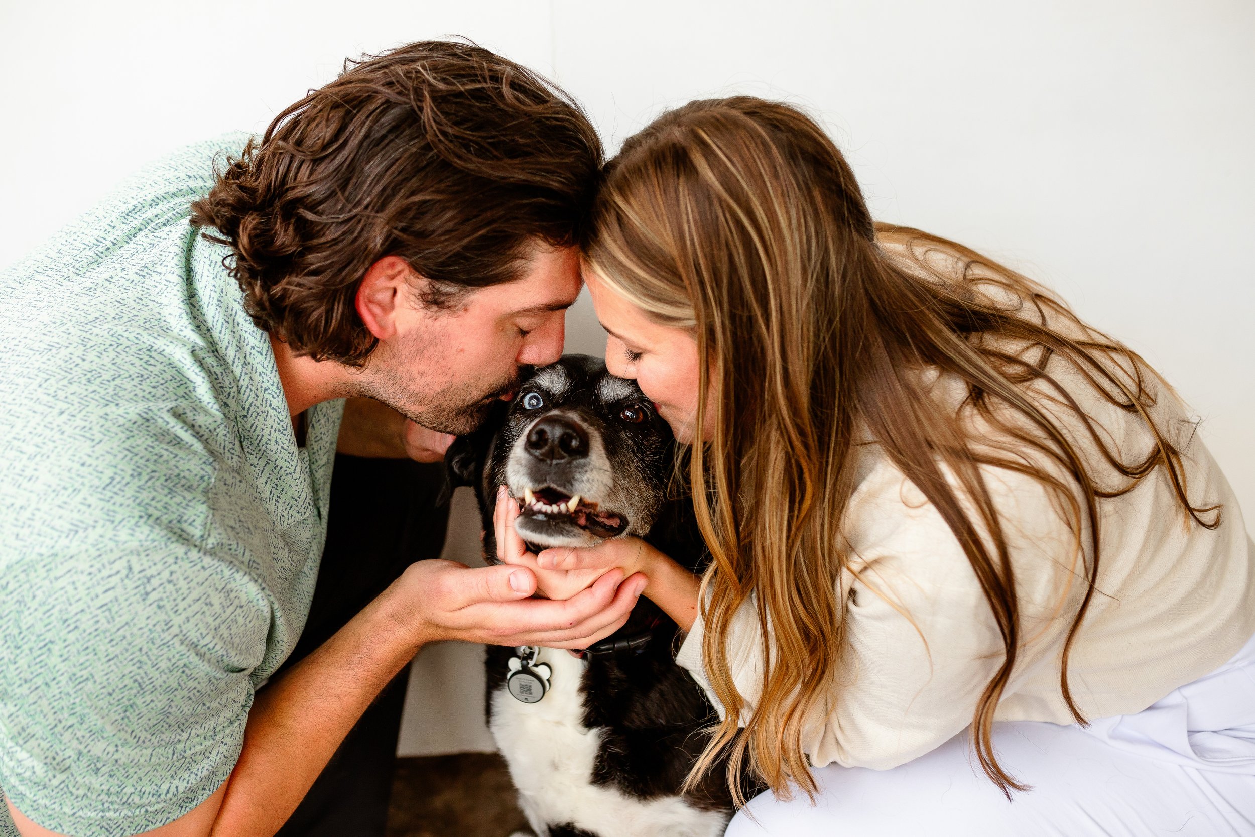 Houston-Dog-Photographer.jpg