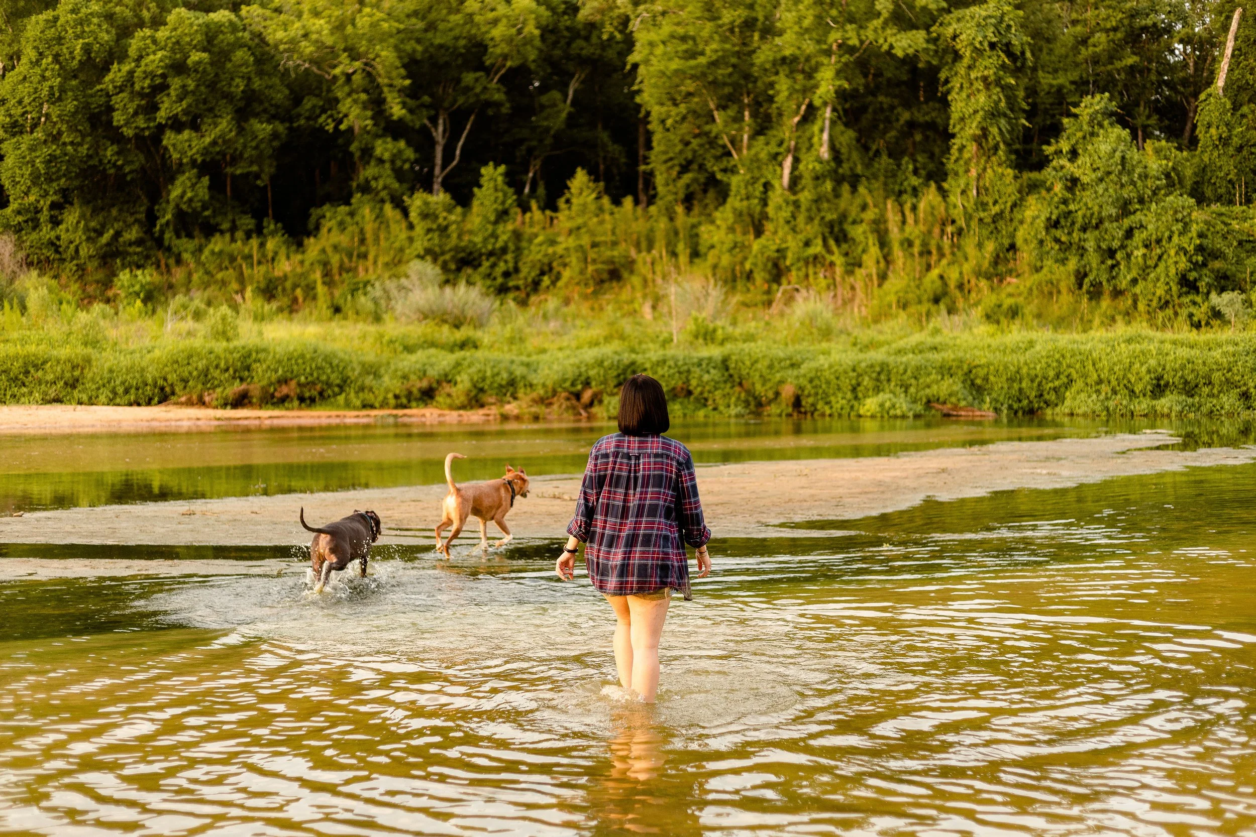 Creek-Photoshoot-Dog-Photographer-The-Woodlands-TX.jpg