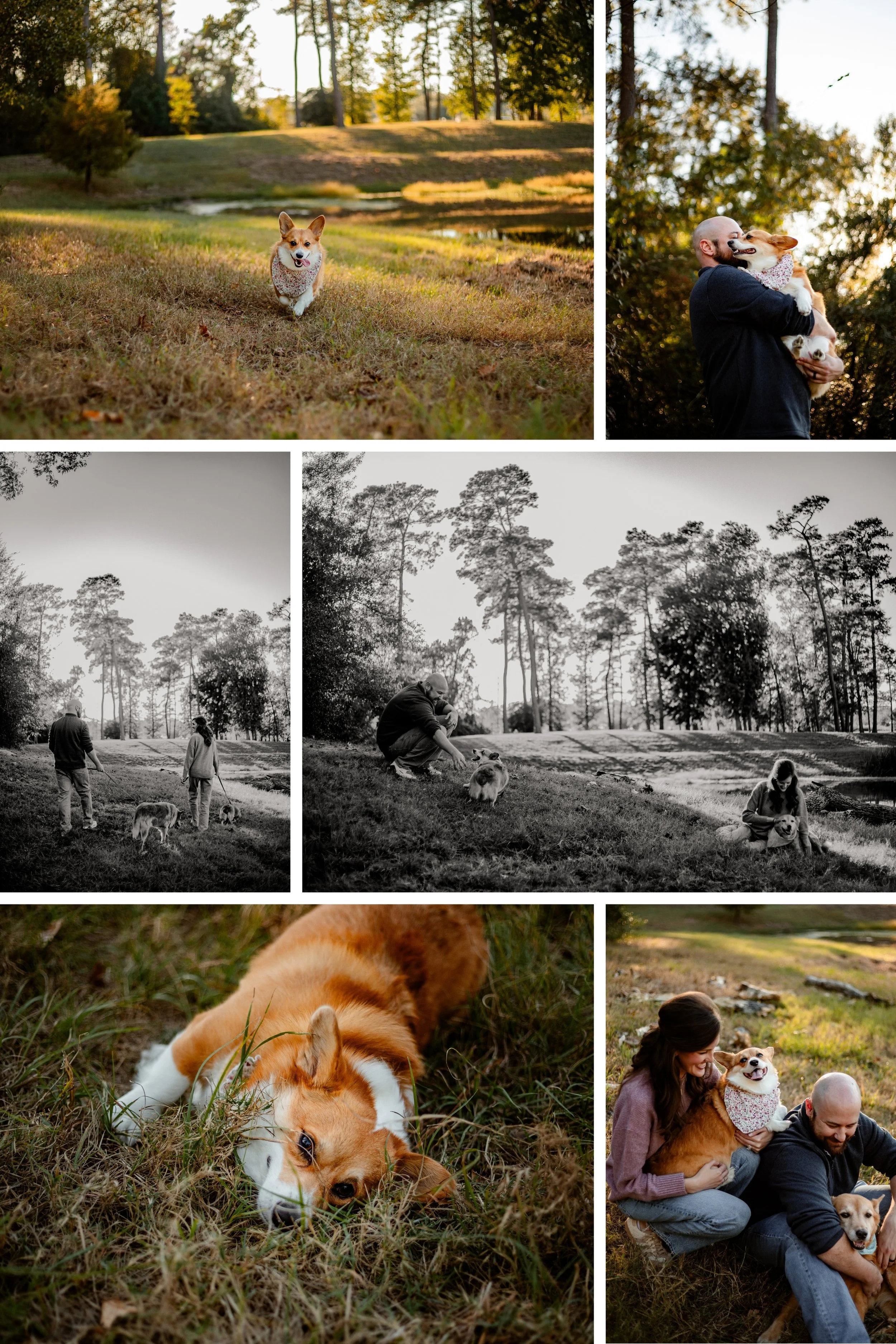 A couple in Spring, Texas with their dogs during sunset