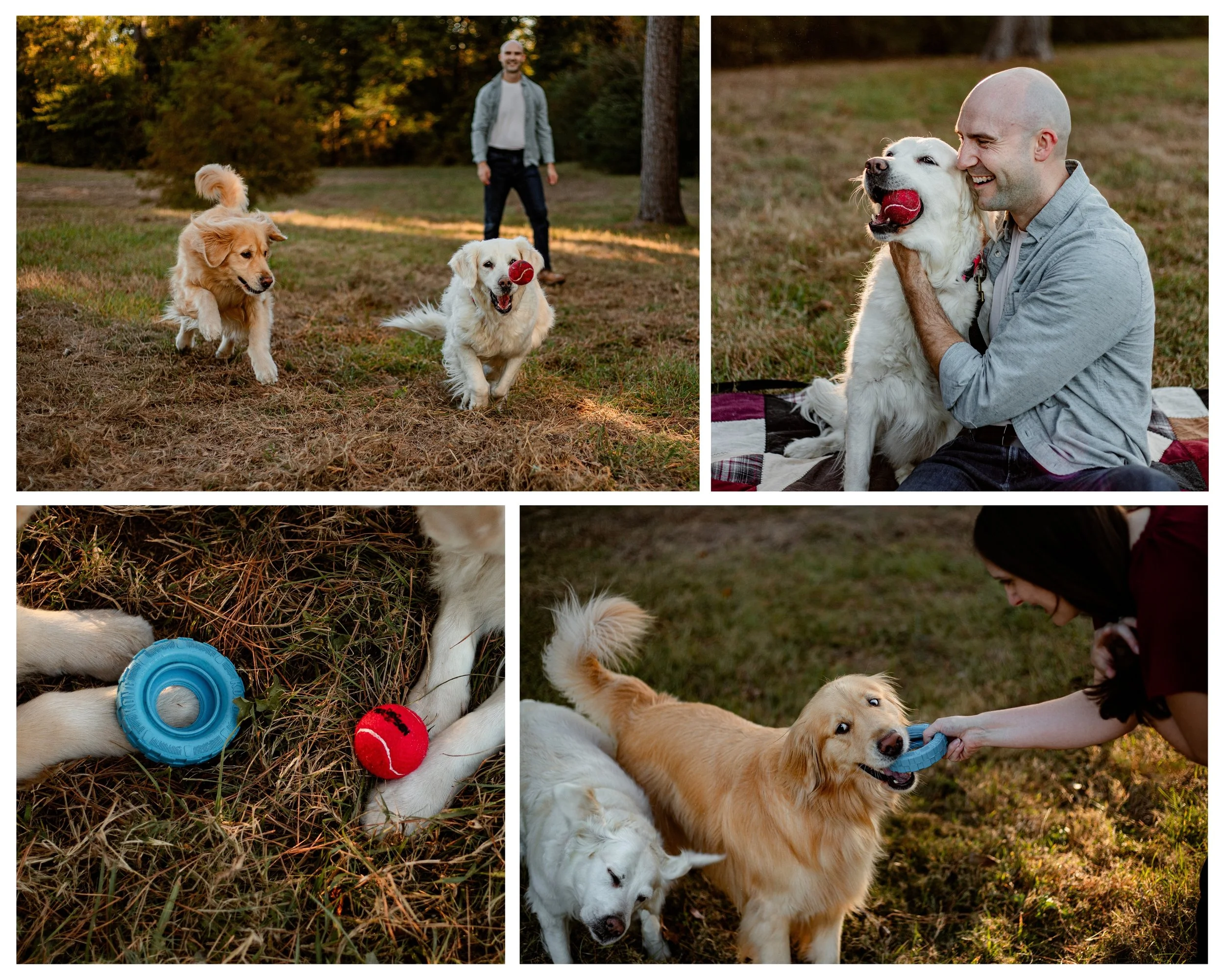 A couple in Spring, Texas playing in a field with their dogs.