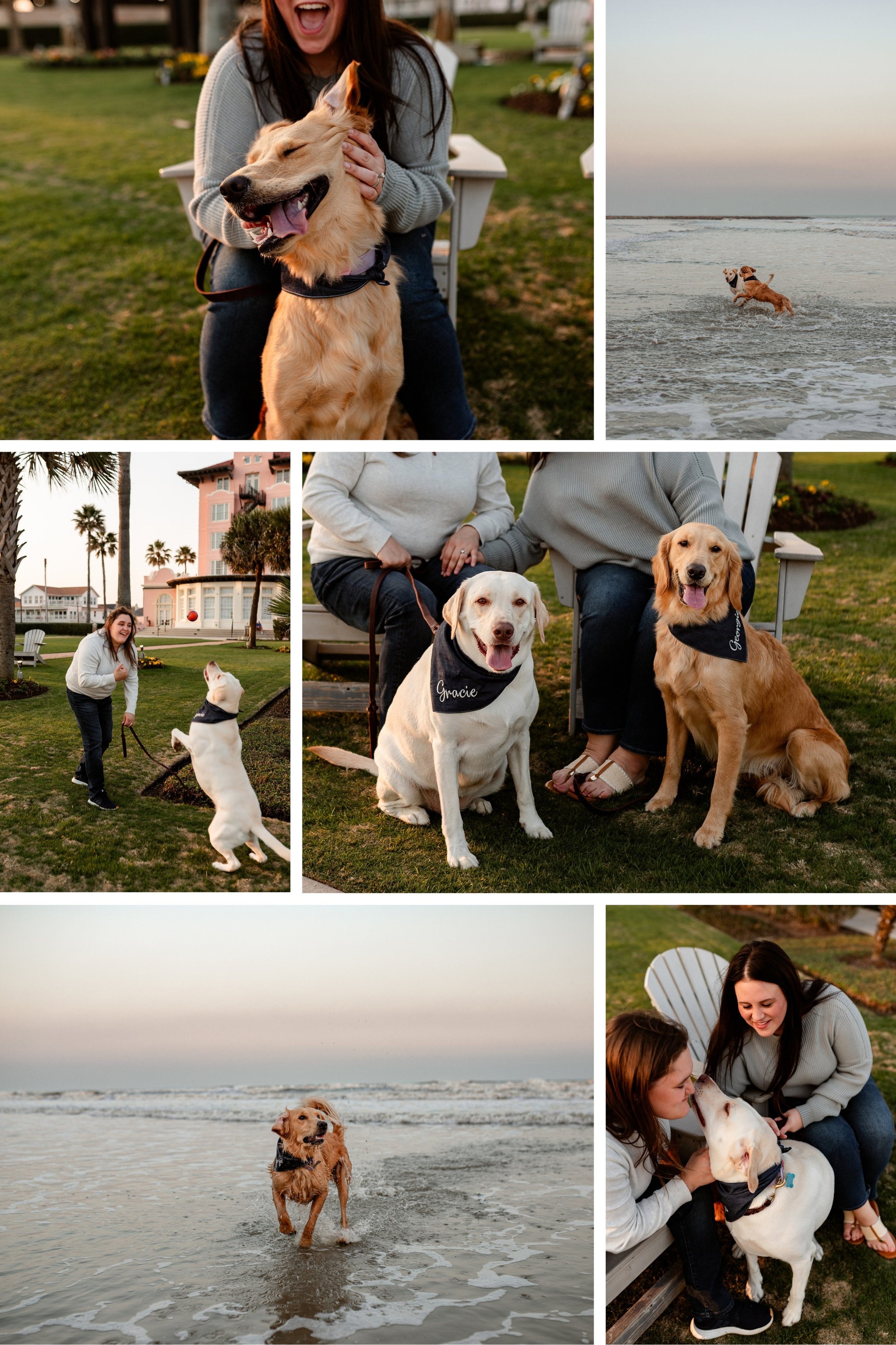 A lesbian couple and their dogs, candid photoshoot in Galveston, Texas