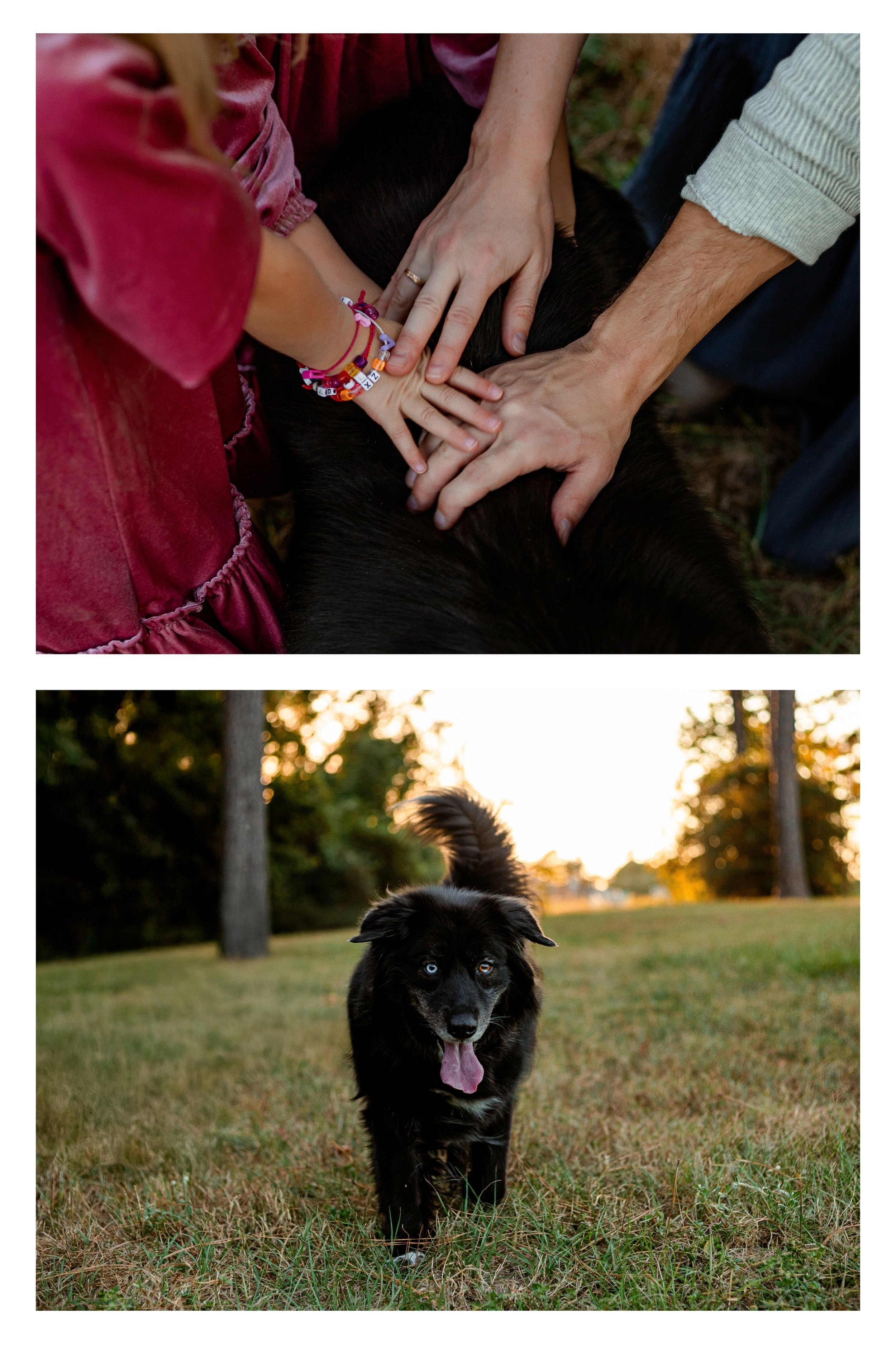 A family petting their dog at sunset.