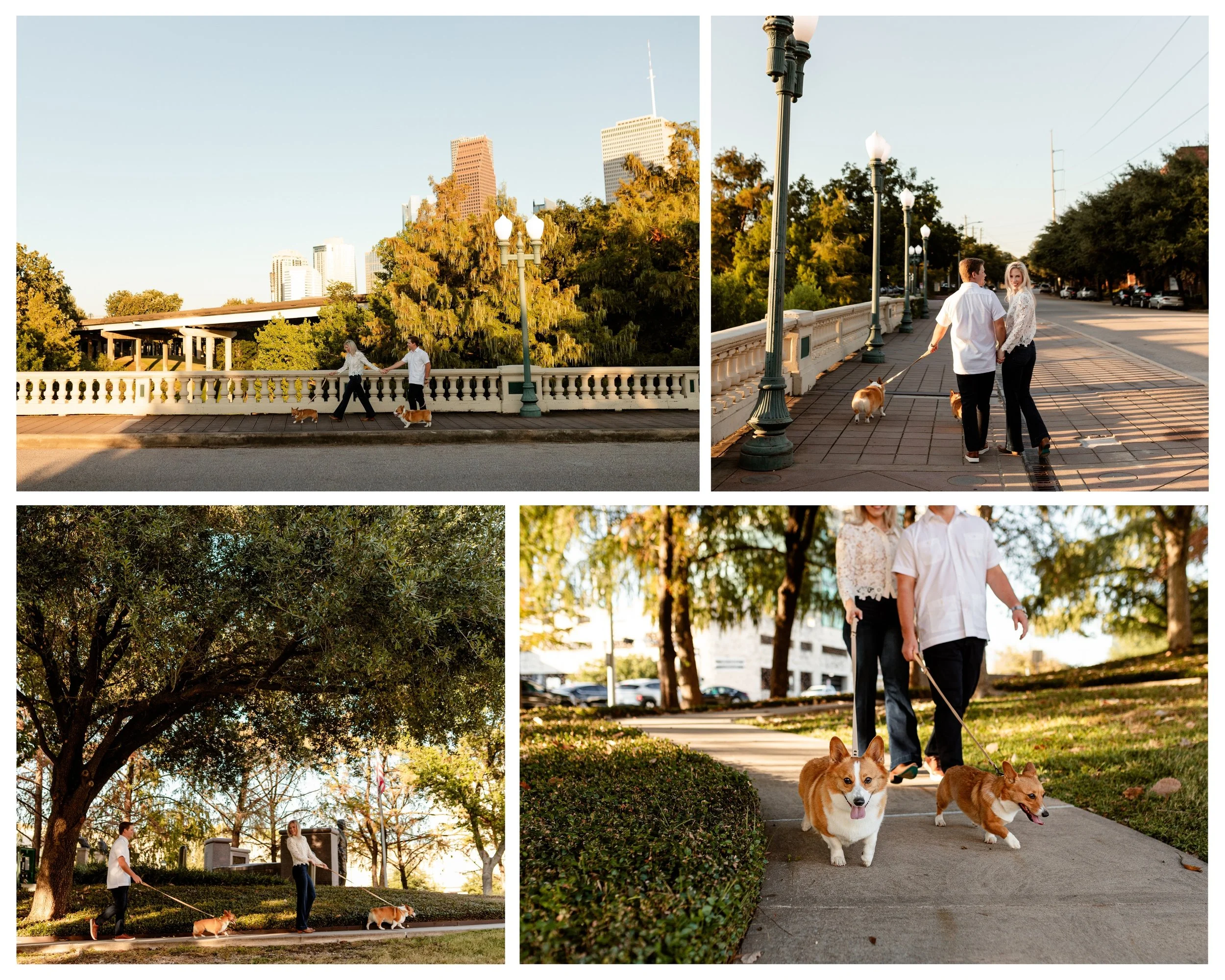 A couple holding hands walking their dogs in downtown Houston
