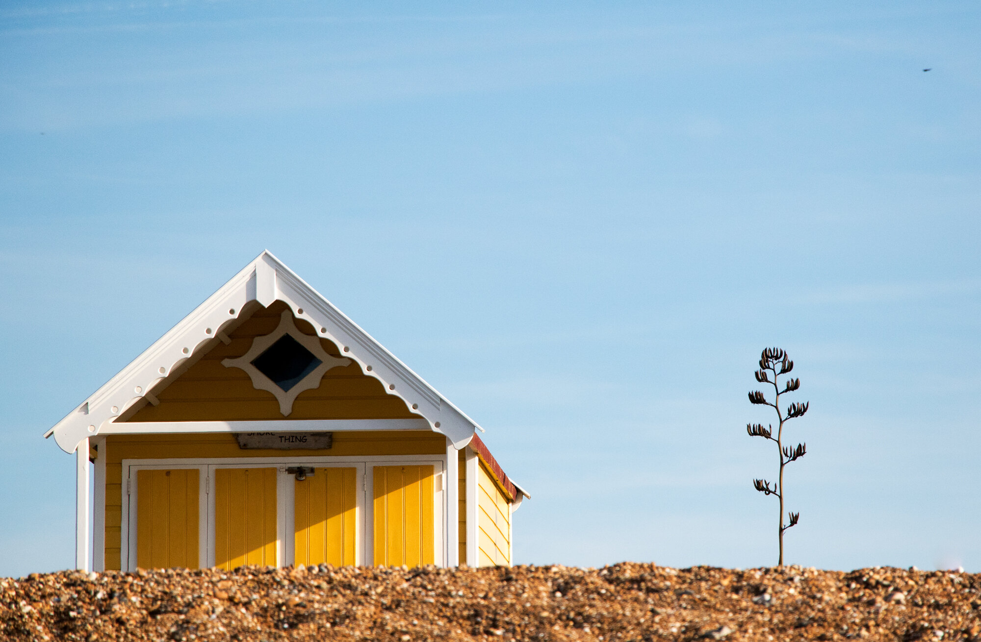 Beach hut