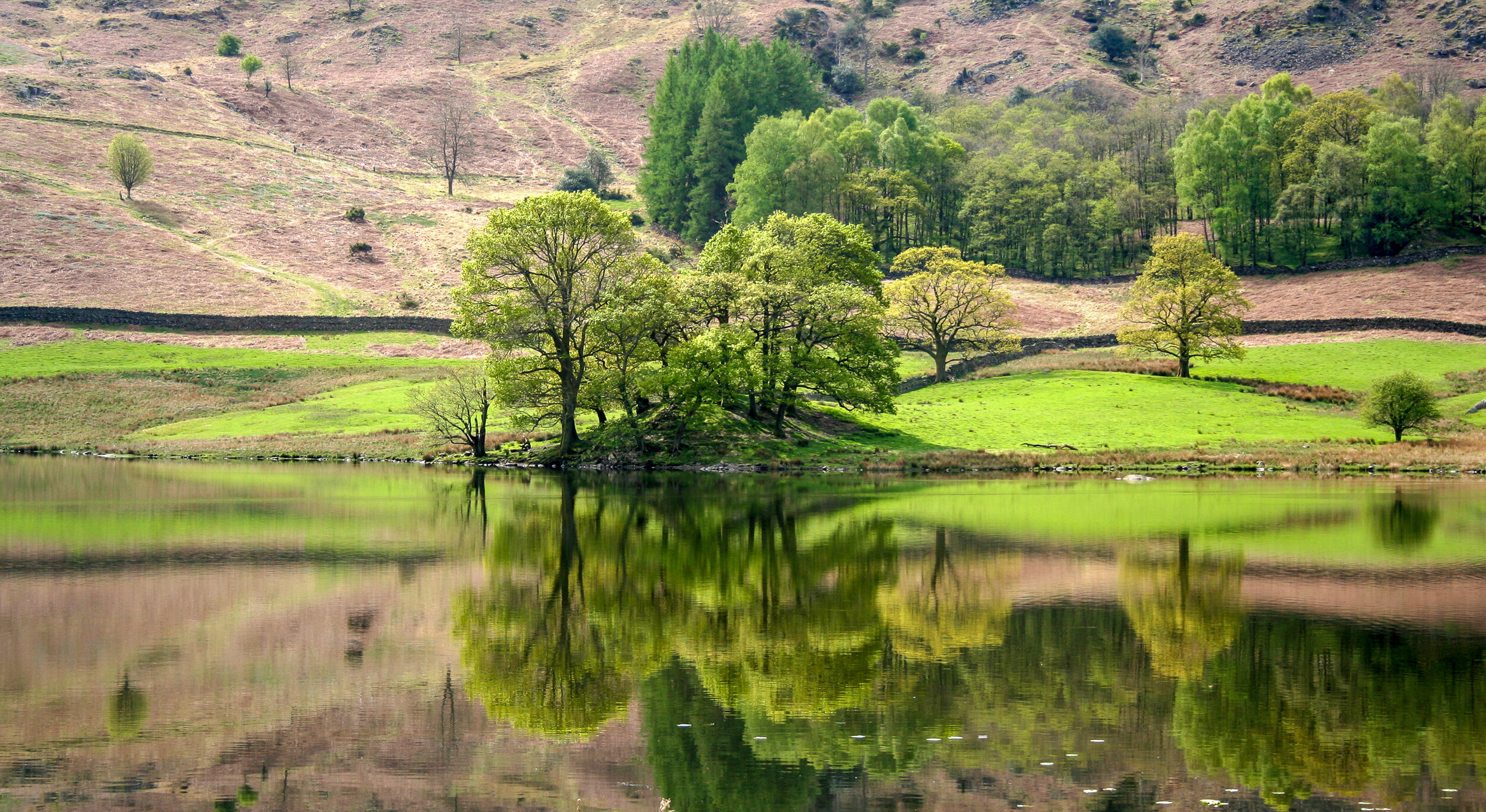 Grasmere reflection
