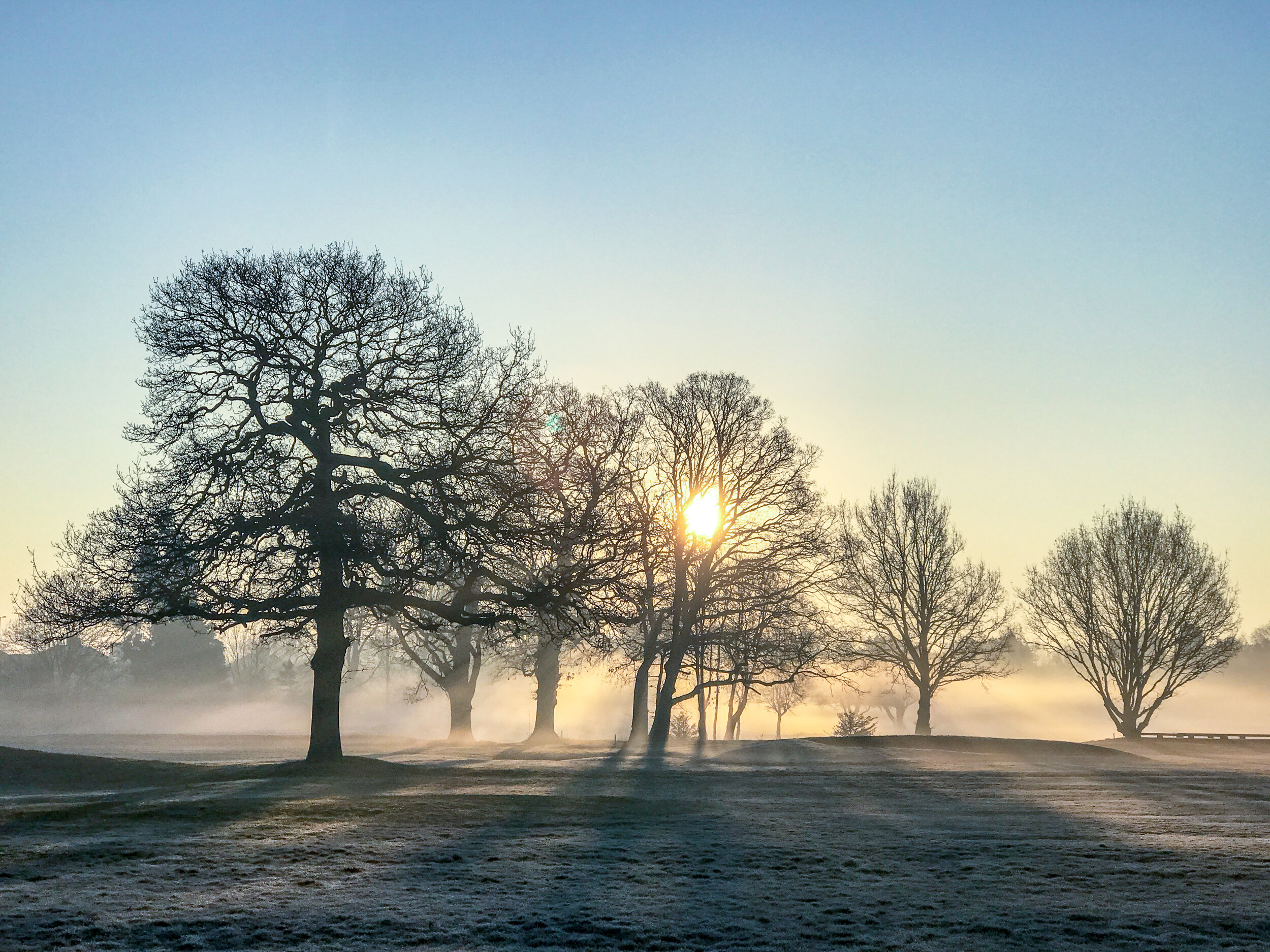 A cold morning