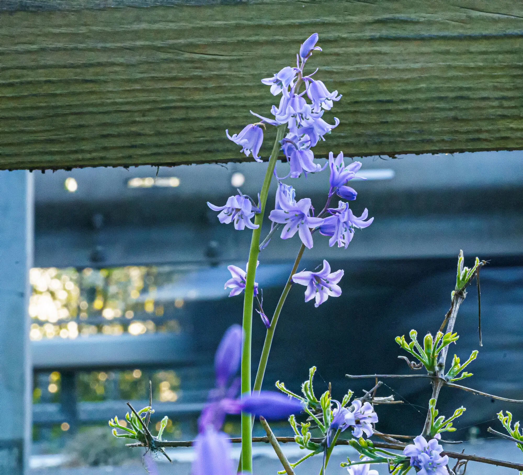 2021 04 April --2020-04-14 at 06-56-55 - sm.jpg